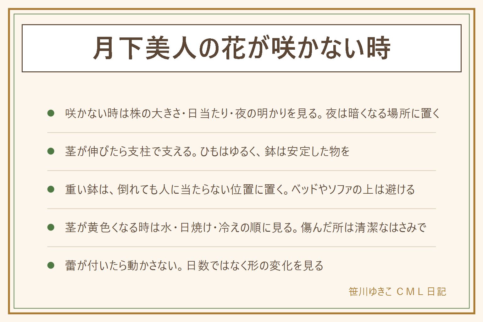 月下美人の花が咲かない時の早見表:葉のように見える部分は茎。咲かない時は株の大きさ、日当たり、夜の明かりの3つを見直し、夜は暗くなる場所に置く。茎が長く伸びたら支柱で支え、ひもはゆるく結び、鉢は深くて安定した物を選ぶ。重い鉢は倒れても人に当たらない位置に置き、ベッドやソファの上と子どもやペットの通り道は避ける。茎が黄色くなる時は水、日焼け、冷えの順に見る。咲いた後はしぼんだ花を清潔なはさみで根元から切り、株を休ませる。蕾が付いたら動かさず、日数ではなく蕾の形の変化で見る。茎や花は子どもとペットの届かない所に置く
