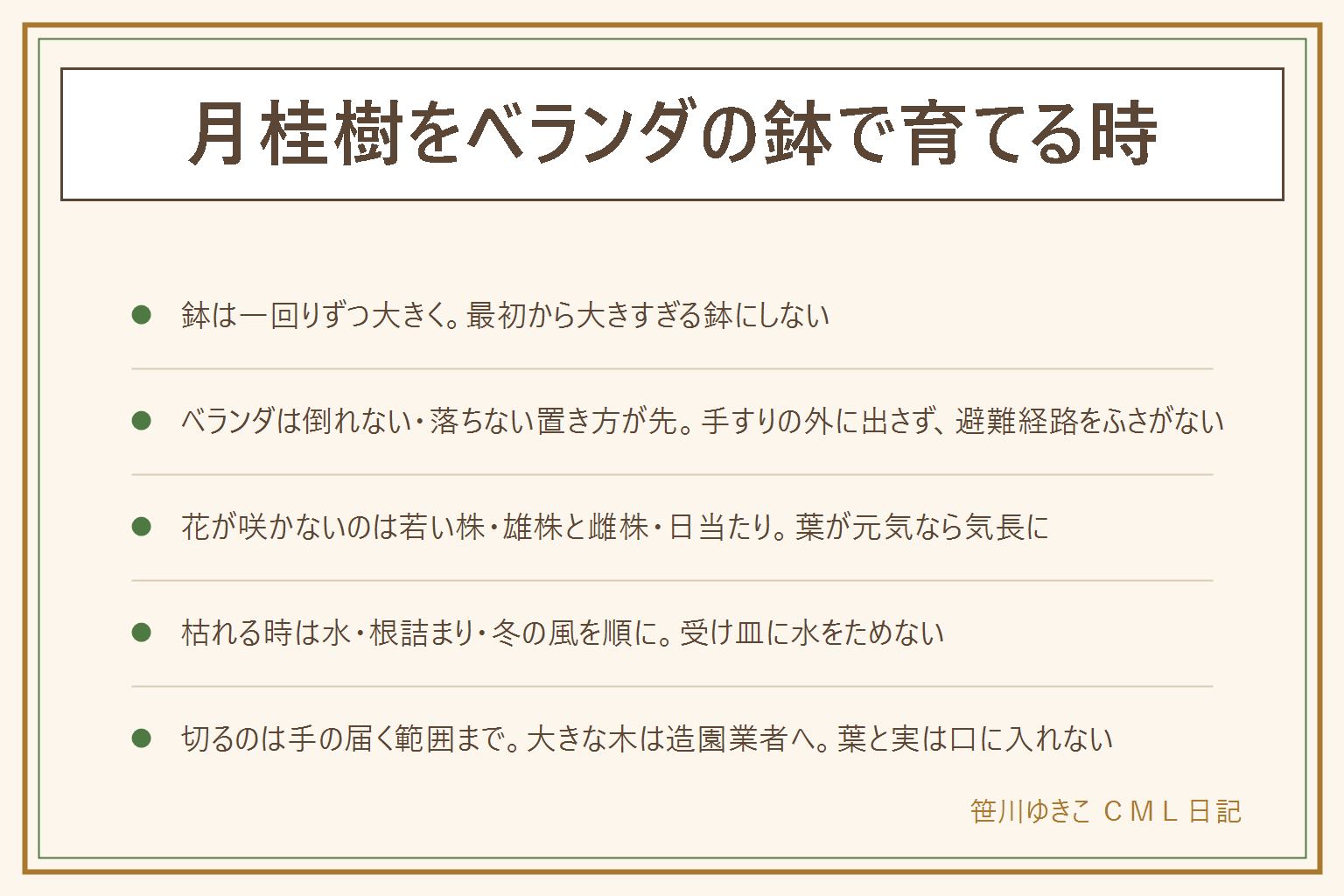 月桂樹をベランダの鉢で育てる時の早見表:鉢は今の鉢より一回り大きいものへ少しずつ、軽い素材だと動かしやすい。ベランダでは落ちても人に当たらない位置、風で倒れない所、手すりの外に出さない、避難経路や隣家とのしきりをふさがない、排水口の近くに置かない。花が咲かないのは若い株、雄株と雌株、日当たりが多い。枯れる時は水の過不足、根詰まり、冬の風を順に見る。剪定は切りすぎず手の届く範囲まで、大きな木の伐採や高い所の剪定は造園業者へ。葉と実は子どもが口に入れないよう手の届かない所に置く