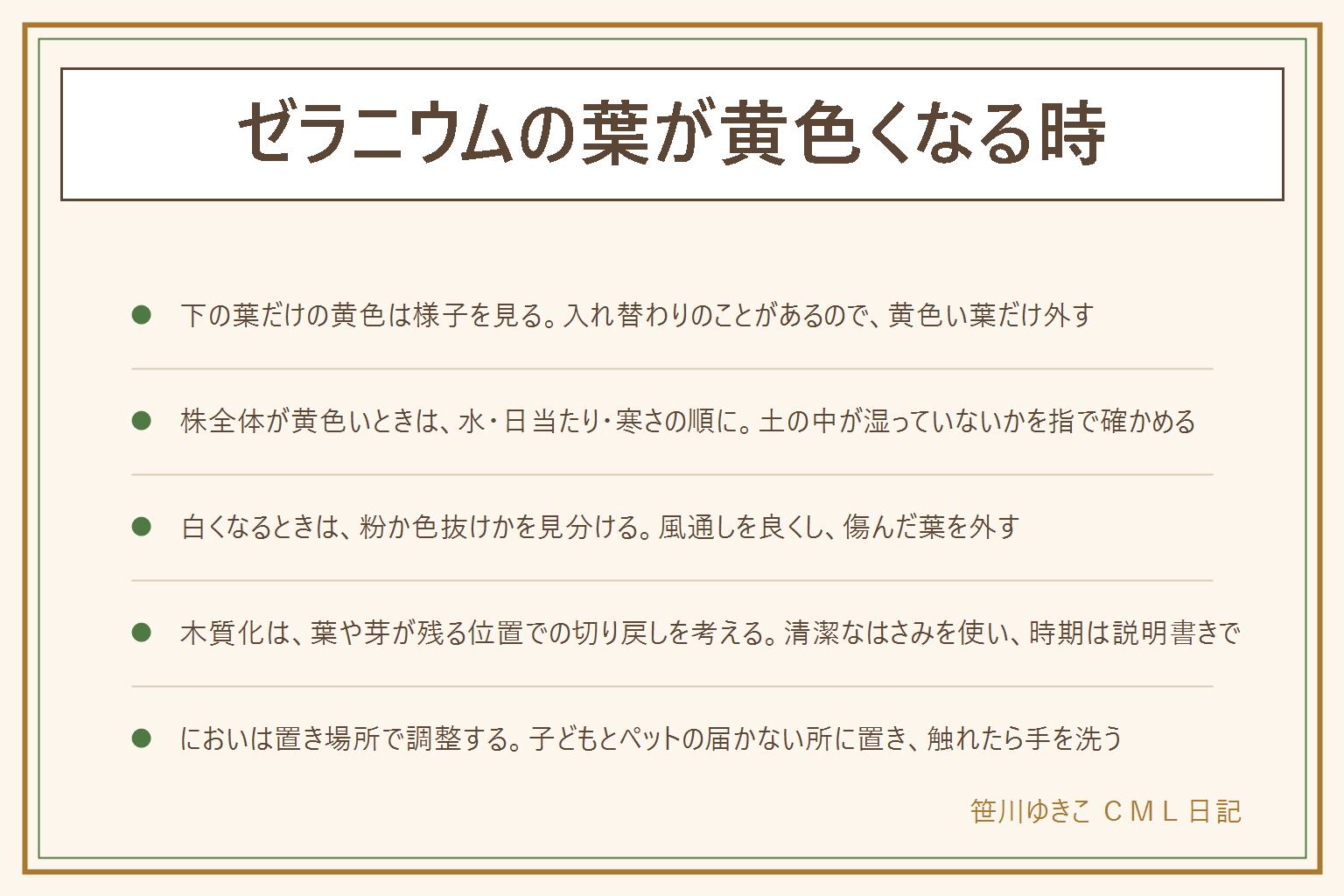 ゼラニウムの葉が黄色くなる時の早見表:下の葉だけ黄色いときは古い葉の入れ替わりのことがあり、黄色い葉だけ外して様子を見る。株全体が黄色いときは水のやりすぎ、日当たり、寒さの順に見て、土の中が湿っていないか指で確かめる。葉が白いときは粉のような物か色が抜けただけかを見分け、風通しを良くして傷んだ葉を外す。茎が木のようになったときは、葉や芽が残る位置での切り戻しを考え、清潔なはさみを使う。冬は軒下や室内の窓辺へ、夏は蒸れと雨を避ける。においは人の通り道から離して風が抜ける場所に置く。葉や茎は子どもとペットの届かない所に置き、作業のあとは手を洗う