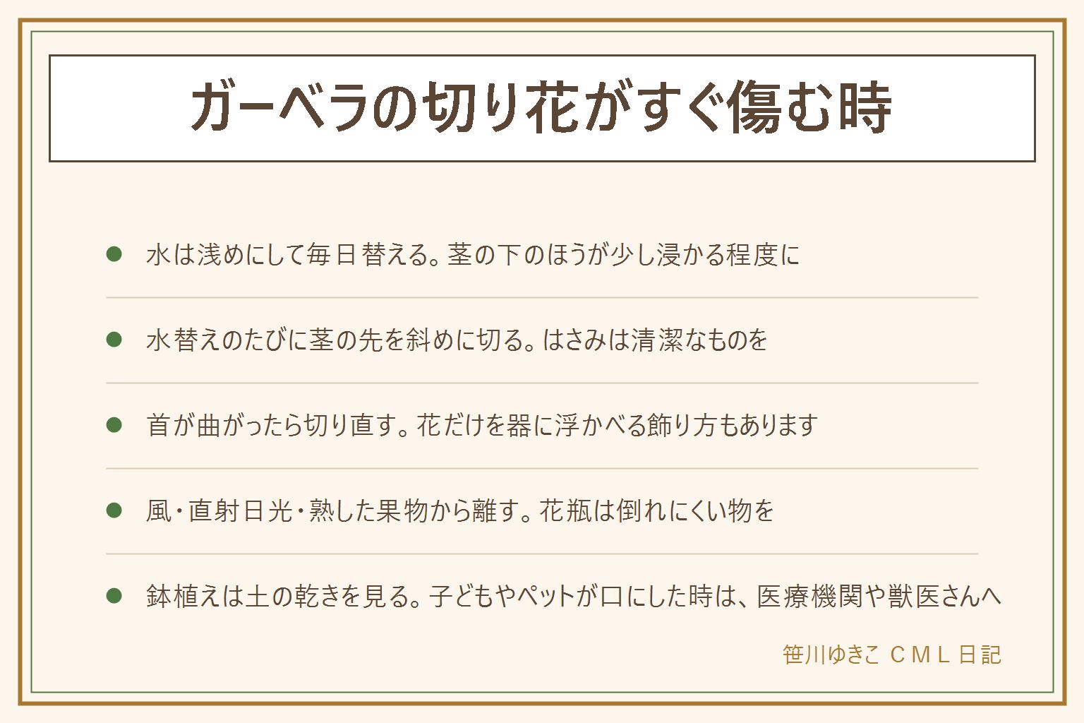 ガーベラの切り花がすぐ傷む時の早見表:花瓶の水は浅めにして茎の下のほうが少し浸かる程度、毎日全部替える、水替えのたびに茎の先を清潔なはさみで斜めに少し切る。首が曲がったら切り直し、花だけを小さな器に浮かべる飾り方もある。エアコンの風、直射日光、熟した果物のそばは避ける。鉢植えは土が乾いてから水をやり、受け皿の水は捨てる。土がぬれているのにしおれる時は根腐れを疑う。庭に植えてよいかは寒さ、雨と蒸れ、場所で考える。花や葉は子どもの口に入らない所へ、猫や小鳥にも届かない所に置く