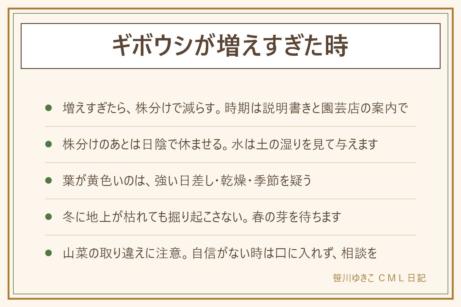 ギボウシが増えすぎた時の早見表:増えすぎたら株分けで減らす。掘り上げて土を落とし、芽がついた部分ごとに分け、傷んだ根を取り、間をあけて植えて水を与える。株分けのあとは明るい日陰で休ませる。葉が黄色いのは強い日差し・乾燥・季節を疑う。冬に地上が枯れるのは休む性質のことがあり、掘り起こさず春の芽を待つ。花が終わったら花の茎を根元から切る。ギボウシとホスタは同じ仲間の呼び名。若い芽を山菜として食べる地方があるが、似た植物との取り違えで中毒が起きたと言われるので、自信がない時は口に入れない。口に入れたら医療機関や中毒の相談窓口へ。集合住宅の花壇は管理規約と管理会社が先