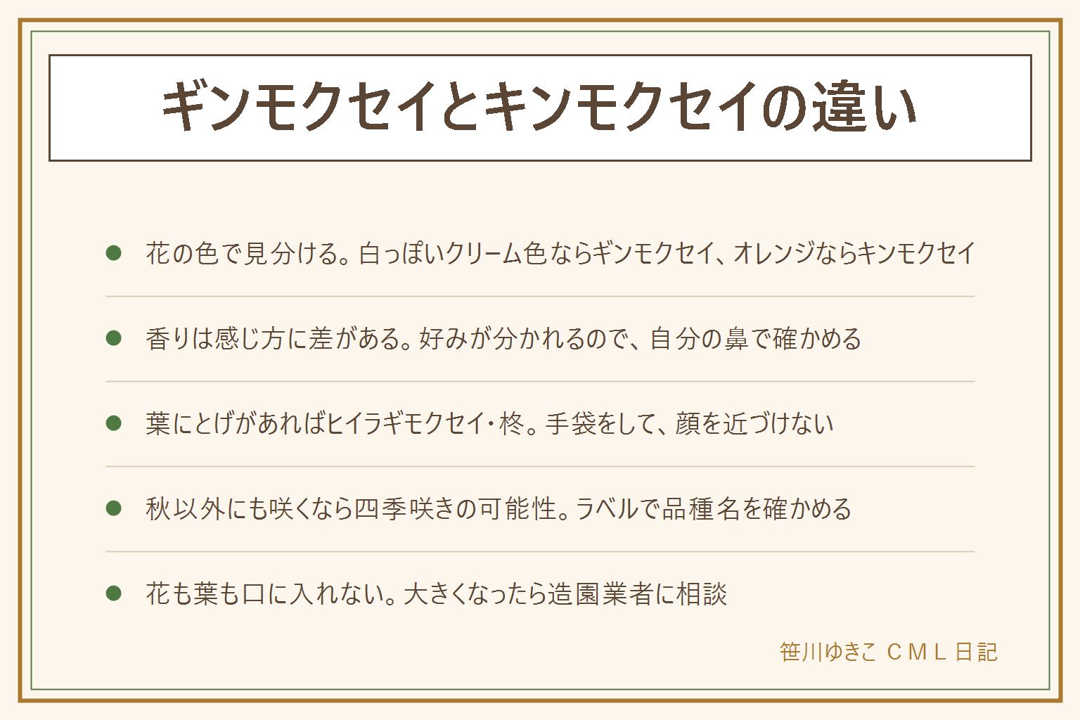 ギンモクセイとキンモクセイの違いの早見表:花の色が主役で、白っぽいクリーム色の小花はギンモクセイ、濃いオレンジ色の小花はキンモクセイ。香りはギンモクセイがやわらかいと言われるが、感じ方には差があり好みが分かれる。葉は、ギンモクセイは先のほうに細かいぎざぎざが出ることがあり、キンモクセイはなめらかなことが多い。葉にとげがあればヒイラギモクセイや柊の可能性があり、手袋をして顔を近づけない。秋以外にも咲くなら四季咲きモクセイの可能性。花が咲かない時は日当たりと剪定の時期を見直す。花と葉は口に入れず、大きくなったら造園業者に相談