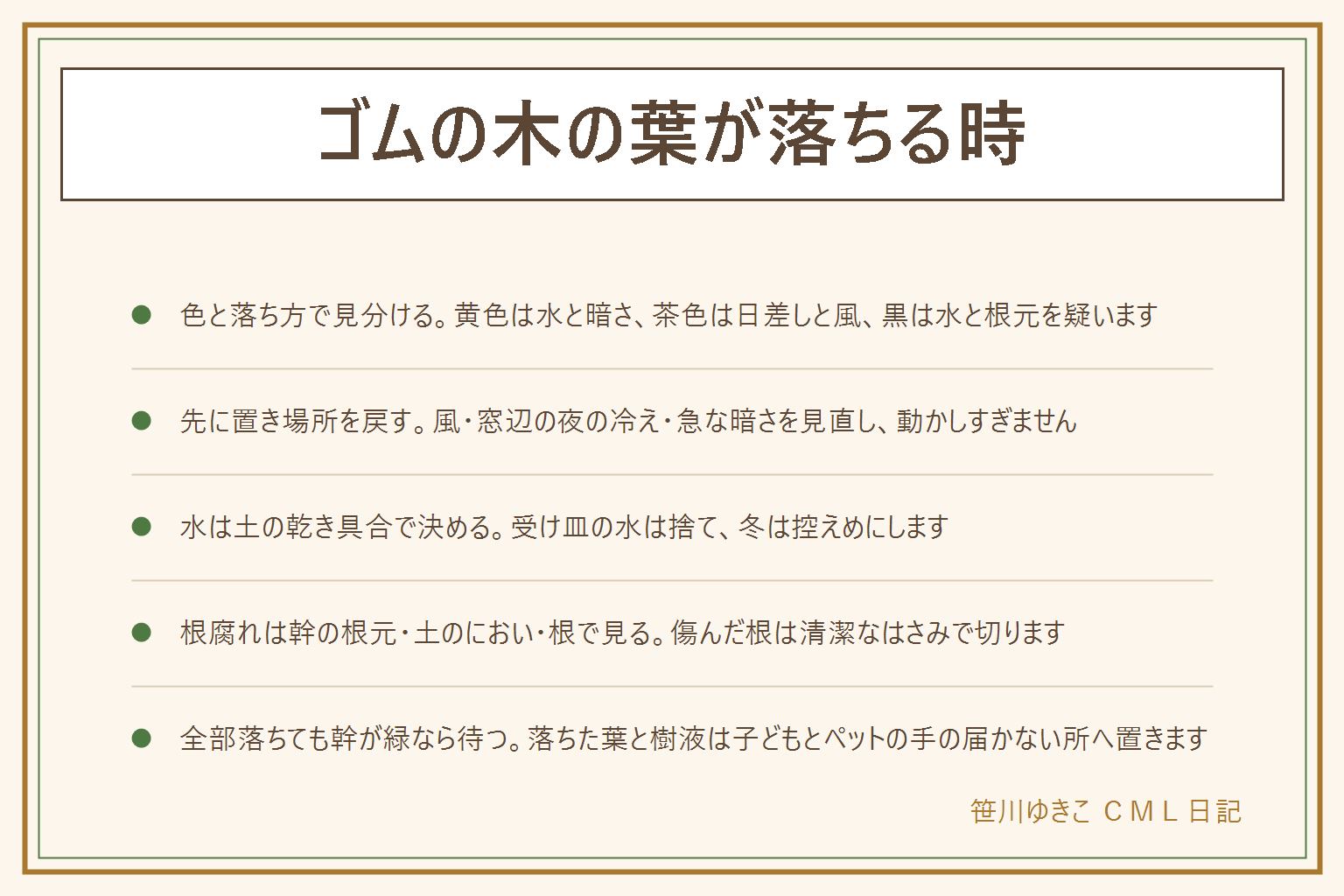 ゴムの木の葉が落ちる時の早見表:葉の色と落ち方で見分ける。黄色は水の多さ・暗さ・冷え、茶色い斑点は強い日差し・乾燥・風、黒は水が多すぎる・根元の傷み、丸まるのは水の足りなさ・乾燥・冷え、一度にまとめて落ちるのは置き場所の急な変化。先に置き場所を見直し、エアコンの風・窓辺の夜の冷え・急に暗い所への移動を避けて動かしすぎない。水は土の乾き具合で与え、受け皿の水は捨てる。根腐れは幹の根元・土のにおい・根を見て、傷んだ根は清潔なはさみで切る。葉が全部落ちても幹が緑なら待つ。樹液は手袋をして触ったら手を洗い、落ちた葉や切りくずは子どもとペットの手の届かない所へ