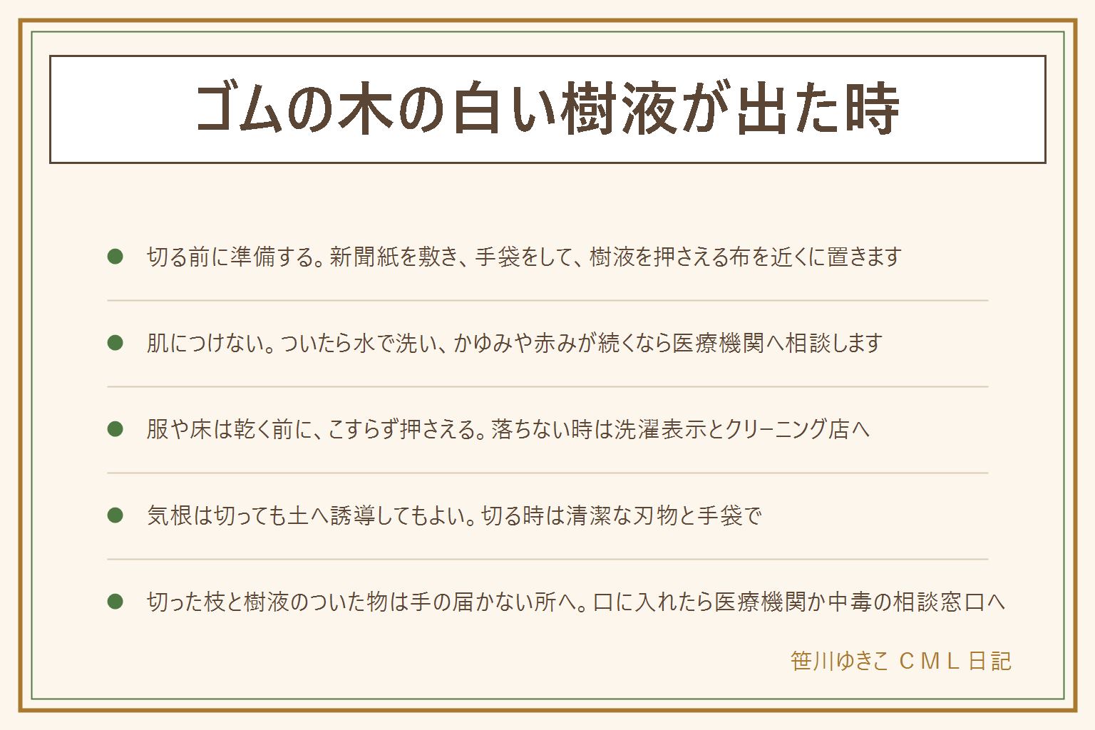 ゴムの木の白い樹液が出た時の早見表:切る前に新聞紙を敷き、手袋をして、乾いた布を用意する。樹液は空気に触れると固まるので、服や床についたら乾く前に、こすらず押さえるようにふき取る。落ちない時や高価な物は洗濯表示を見てクリーニング店に相談し、溶剤は使わない。洗剤は塩素系と酸性を混ぜない。手についたら水で洗い、かゆみや赤みが続く時は医療機関へ。気根は病気ではなく、切っても土の方へ誘導してもよい。伸びすぎた枝は節の少し上で清潔な刃物で切り、水差しで根が出ない時は切り口の樹液を洗い流し水を替える。虫は拭き取って風通しをよくする。切った枝や樹液のついた物は子どもとペットの手の届かない所へ