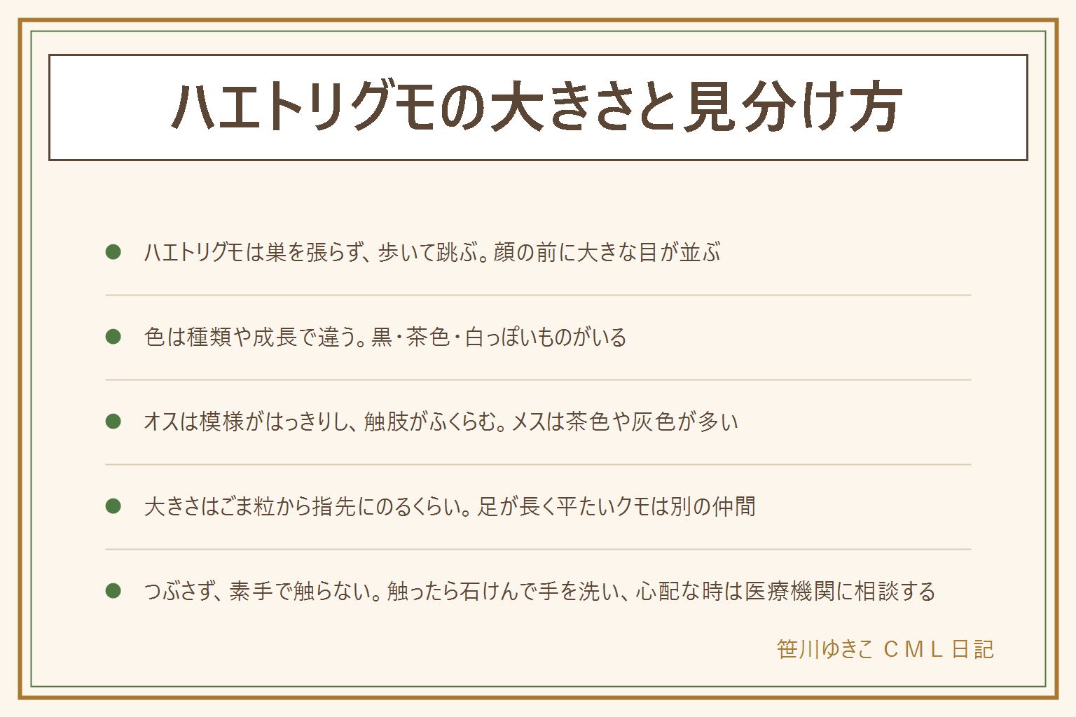ハエトリグモの大きさと見分け方の早見表:巣を張らずに歩き回って跳ぶ、顔の前に大きな目が並ぶ、が目印。色は黒っぽい、茶色や灰色、白っぽいなど種類や成長で違う。オスは模様がはっきりして触肢がふくらみ、メスは茶色や灰色で体にふくらみがある。網を張るクモや足が長く平たいクモは別の仲間。大きさはごま粒くらいから大きくても指先にのるくらいの目安。つぶさず薬剤もまかず、素手で触らない。触ったら石けんで手を洗い、目や口をこすらず、心配な時は医療機関に相談する。外へ出す手順は別の記事へ