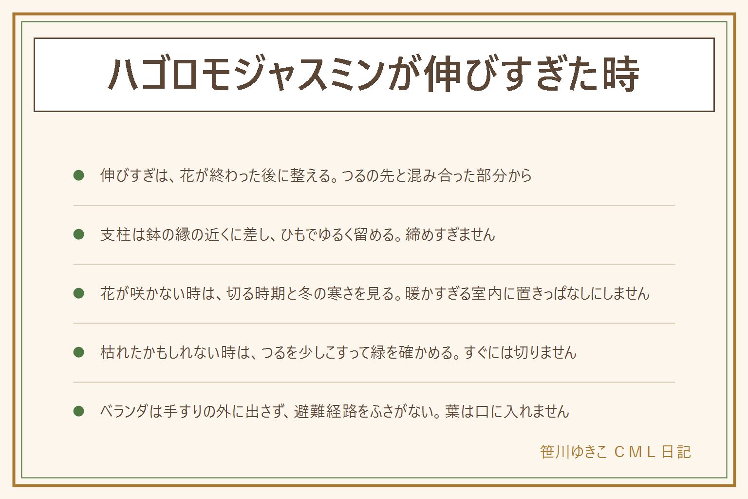 ハゴロモジャスミンが伸びすぎた時の早見表:花が終わった後に、つるの先と混み合った部分を手の届く範囲で整える。支柱は鉢の縁の近くに差し、つるをひもでゆるく留めて向きを決める。花が咲かない時は切る時期と冬の寒さを見て、暖かすぎる室内に置きっぱなしにしない。冬に葉が茶色くなっても、つるを爪で軽くこすって緑が見えればまだ生きているので、すぐには切らない。ベランダでは手すりの外に出さず、避難経路と隣家のしきりをふさがず、鉢は落ちても人に当たらない位置に置き、管理規約に従う。香りは強いと感じる人もいる。葉とつると花は口に入れず、子どもとペットの届かない所へ