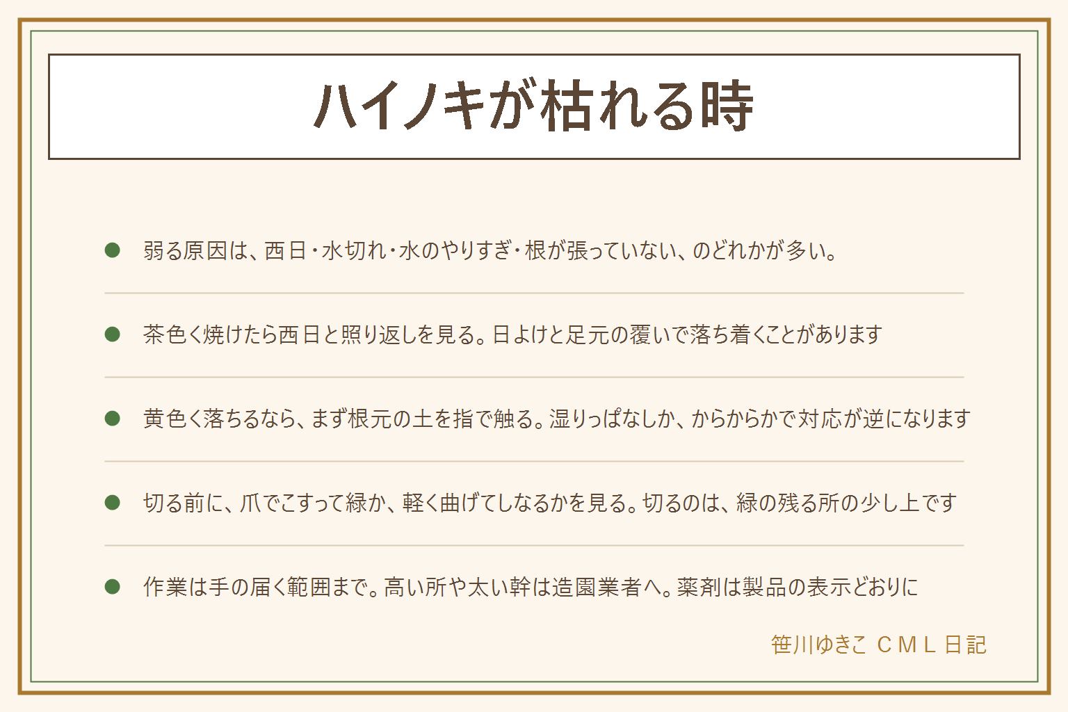 ハイノキが枯れる時の早見表:弱る原因は西日や照り返しで葉が焼ける、水切れや根元の乾燥、植えたばかりで根が張っていない、水のやりすぎで根が傷む、のどれかが多い。葉が茶色く焼けたら午後の日当たりと照り返しを見る。黄色く落ちる時は根元の土を指で触って湿りっぱなしか乾いているかを確かめる。枝が生きているかは、爪で樹皮を少しこすって緑か、枝を軽く曲げてしなるかで見る。切る位置はぽきっと折れる所より下の、緑の残る所の少し上。作業は手の届く範囲まで、高い所や太い幹は造園業者へ。虫や斑点は素手で触らず、園芸店や自治体の案内に従う。薬剤は製品の表示どおり。