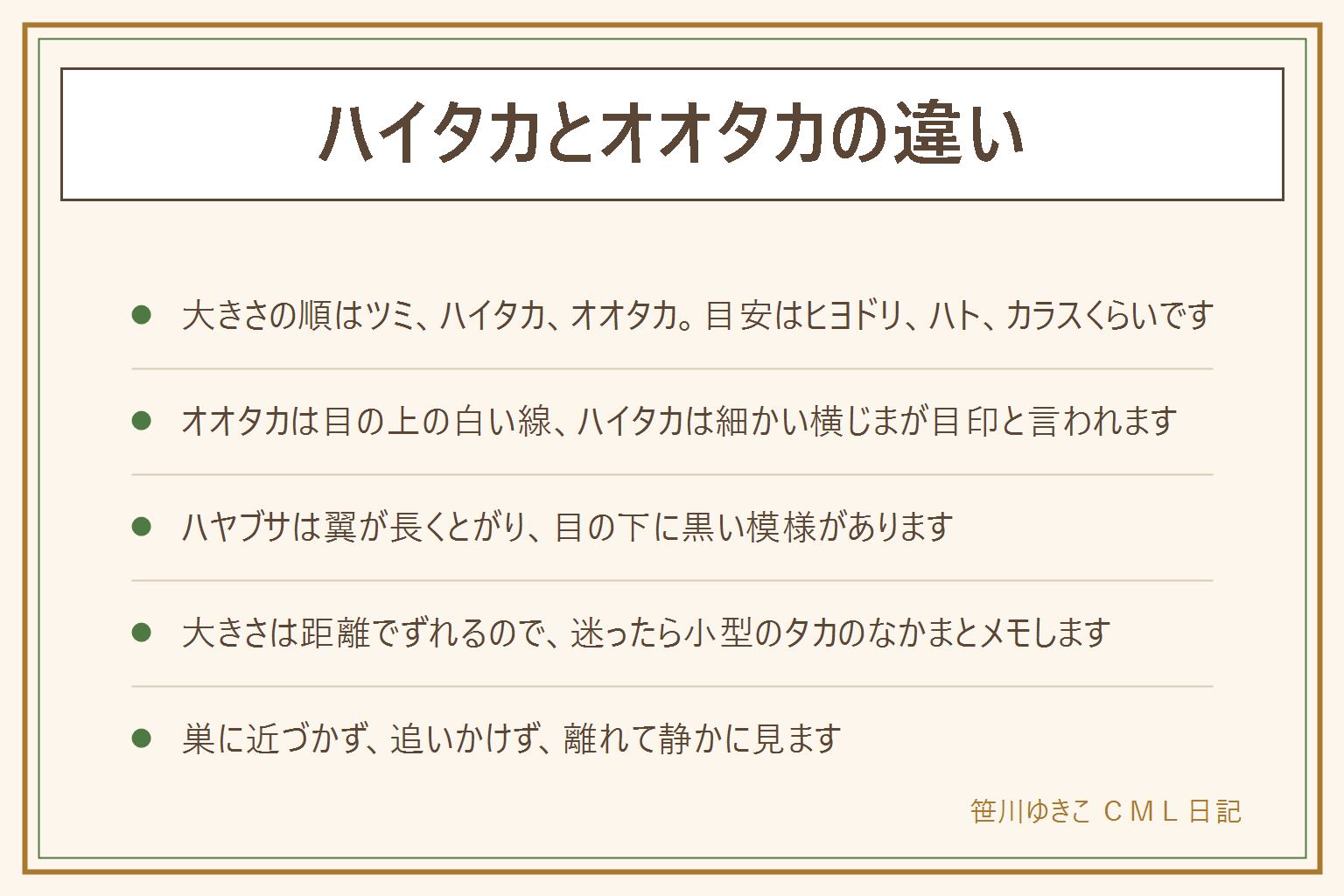 ハイタカとオオタカの違いの早見表:大きさの順はツミ、ハイタカ、オオタカと言われ、目安はヒヨドリ、ハト、カラスくらい。オオタカは目の上の白い線がはっきりしやすく、ハイタカはおなかの横じまが細かい。ツミは3種でいちばん小さい。ハヤブサはタカとは別のなかまで、翼が長くとがり、目の下に黒い模様がある。大きさは見る距離でずれるので、迷ったら小型のタカのなかまとメモして決めなくてよい。巣に近づかない、追いかけない、待ち伏せしない、ドローンを飛ばさない、えさをやらない、捕まえない、私有地に入らない、子どもは大人と一緒