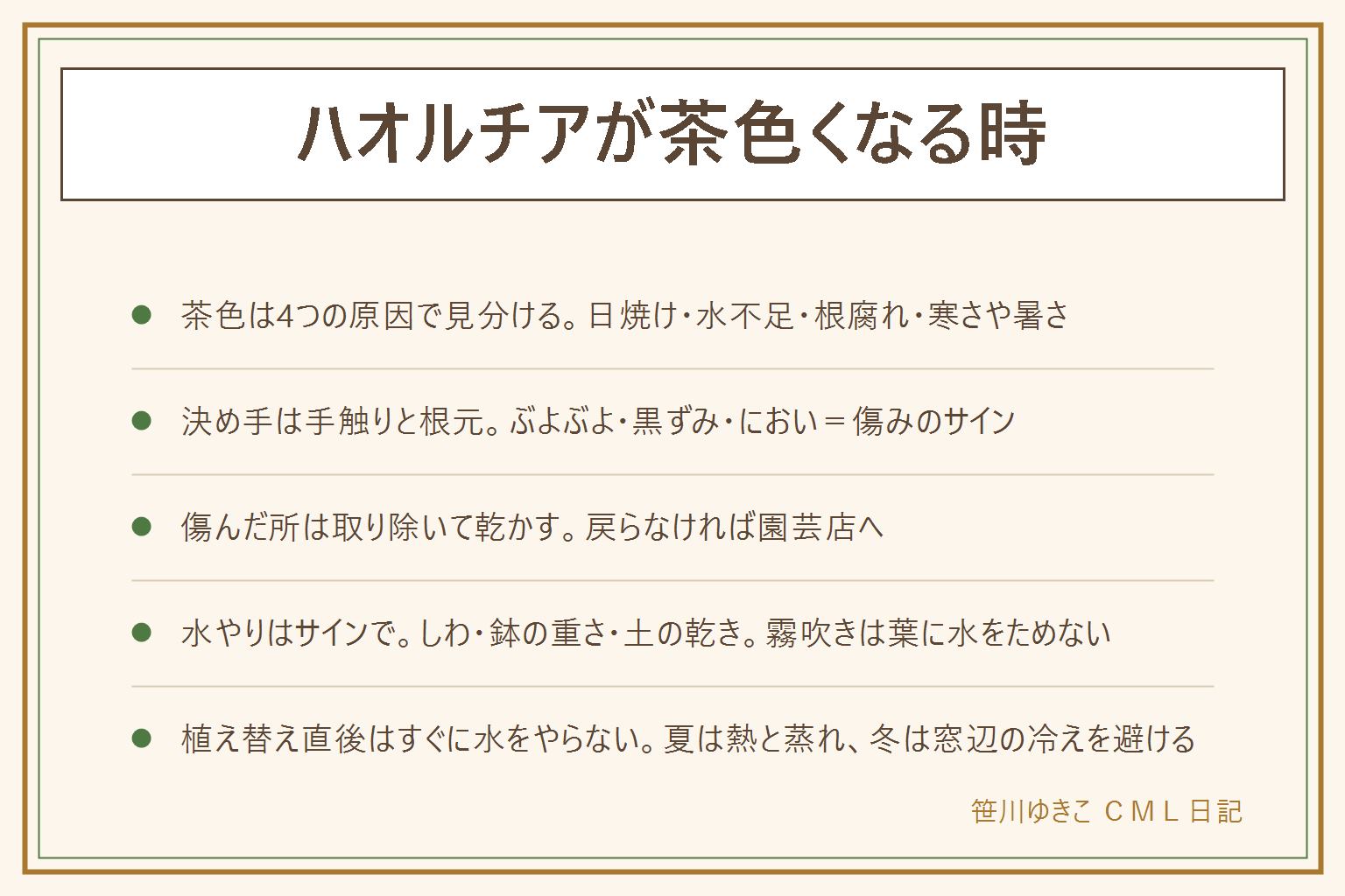 ハオルチアが茶色くなる時の早見表:茶色は日焼け、水の足りなさ、水の多さによる根腐れ、寒さや暑さの4つで見分ける。決め手は手触りと根元。張りがあれば元気、しわが寄れば水不足、ぶよぶよで黒ずみやにおいがあれば傷み。傷んだ所は清潔なはさみで取り除き、風通しのよい日陰で乾かす。戻らなければ園芸店に相談する。水やりは日にちではなく、葉のしわ、鉢の重さ、土の乾きで決める。霧吹きは葉の中心に水をためず、土に届ける。植え替え直後はすぐに水をやらない。夏は熱と蒸れ、冬は窓辺の冷えを避ける。花が咲いた後は花茎を根元近くで切る。切った葉や花茎は子どもの口に入らない所へ、様子が違う時は獣医さんへ