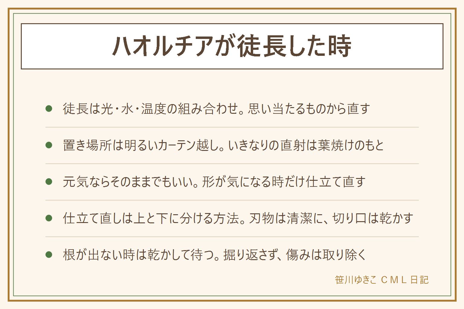 ハオルチアが徒長した時の早見表:徒長は光が足りない、水が多い、暖かすぎるの組み合わせで起き、伸びた形は元に戻らない。まず置き場所を直す。レースのカーテン越しの明るい窓辺に置き、いきなりの直射は葉焼けのもと。夏は熱がこもる窓辺を避け、水は土が乾いてから。元気ならそのまま育てて様子を見る。形が気になる時は、伸びた株を上と下に分ける仕立て直しを考える。刃物は清潔にし、台の下にマットを敷き、切り口は乾かす。時期や乾かす長さは品種の説明書きを見る。根が出ない時は湿った土を避け、明るい日陰に置いて掘り返さず待つ。切った葉や株は子どもの口に入らない所へ、猫や小動物がかじることがあるので届かない所に置く。気になる時は獣医さんや中毒の相談窓口へ