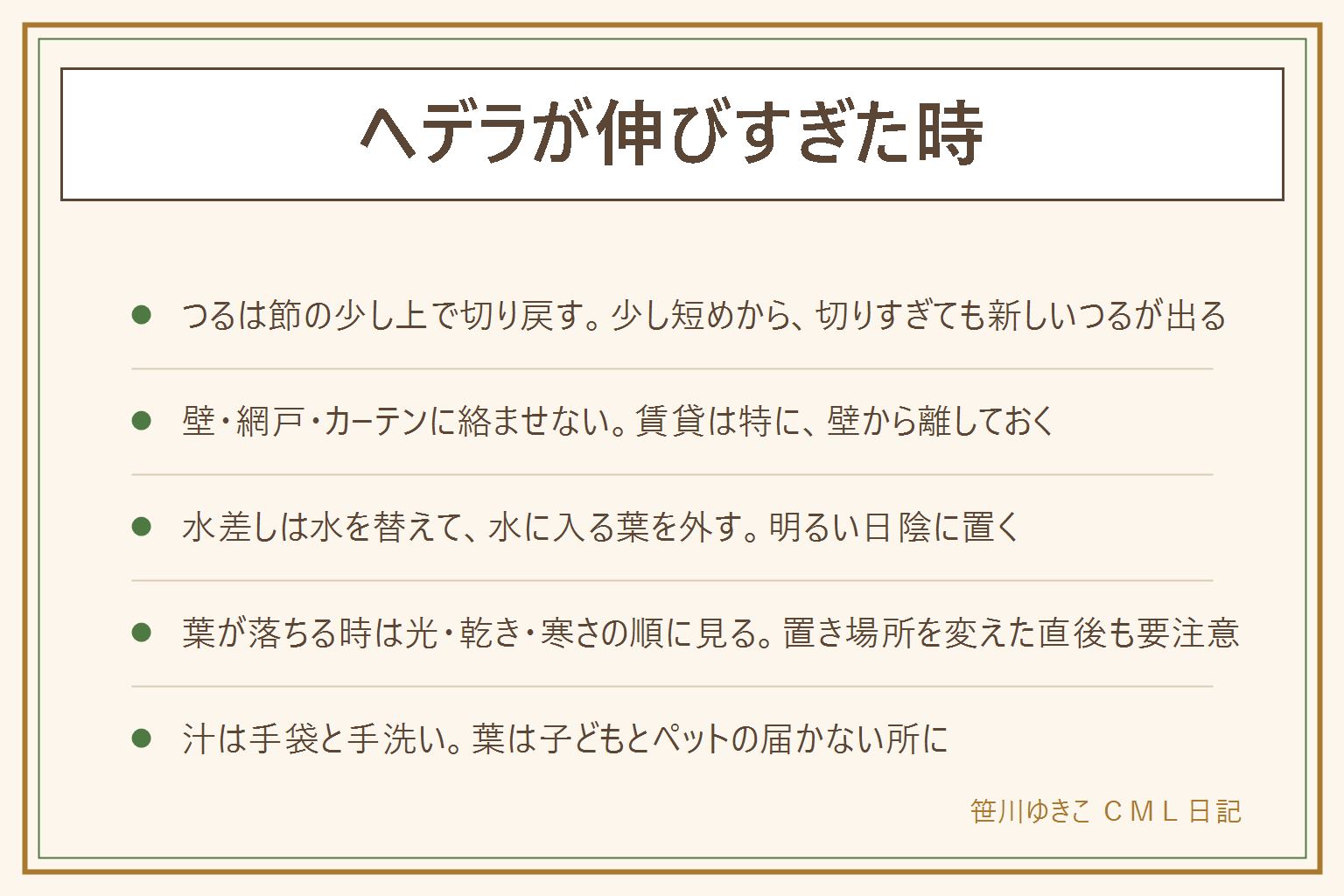 ヘデラが伸びすぎた時の早見表:伸びすぎたつるは節の少し上で清潔なはさみで切り戻し、切ったつるは水差しにして残す。壁や網戸に気根でくっつくので賃貸では壁から離す。水差しで根が出ない時は水を替える、水に入る葉を外して数を減らす、明るい日陰に置くの3つを見直し、切り口が黒くなったら切り直す。葉が落ちる時は日差し、乾き、寒さの順に見る。枯れてきても緑が残るつるは水差しで残せる。汁は肌が弱い人はかぶれることがあるので手袋と手洗い、葉や茎は子どもやペットが口に入れないよう手の届かない所に置く