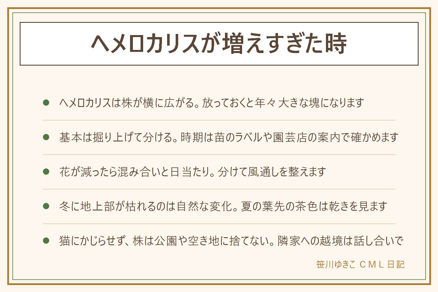 ヘメロカリスが増えすぎた時の早見表:ヘメロカリスは株が横に広がる宿根草で、増えすぎたら掘り上げて分けるか広がる範囲を決めて植え直すのが基本。分ける時期は苗のラベルや園芸店の案内で確かめる。手順は移植ごてで周りから掘る、持ち上げて土を落とす、手で割って分ける、間をあけて植え直す。花が減ったら株の混み合いと日当たりを見る。冬に地上部が枯れるのは自然な変化で、夏に葉先が茶色いのは乾きや日差しを見る。ノカンゾウやヤブカンゾウは近い仲間で花の形で見分ける。ユリの仲間は猫に危ないと言われるのでかじらせない。株は公園や空き地に捨てず自治体の分別で出す。隣家への越境は話し合いで