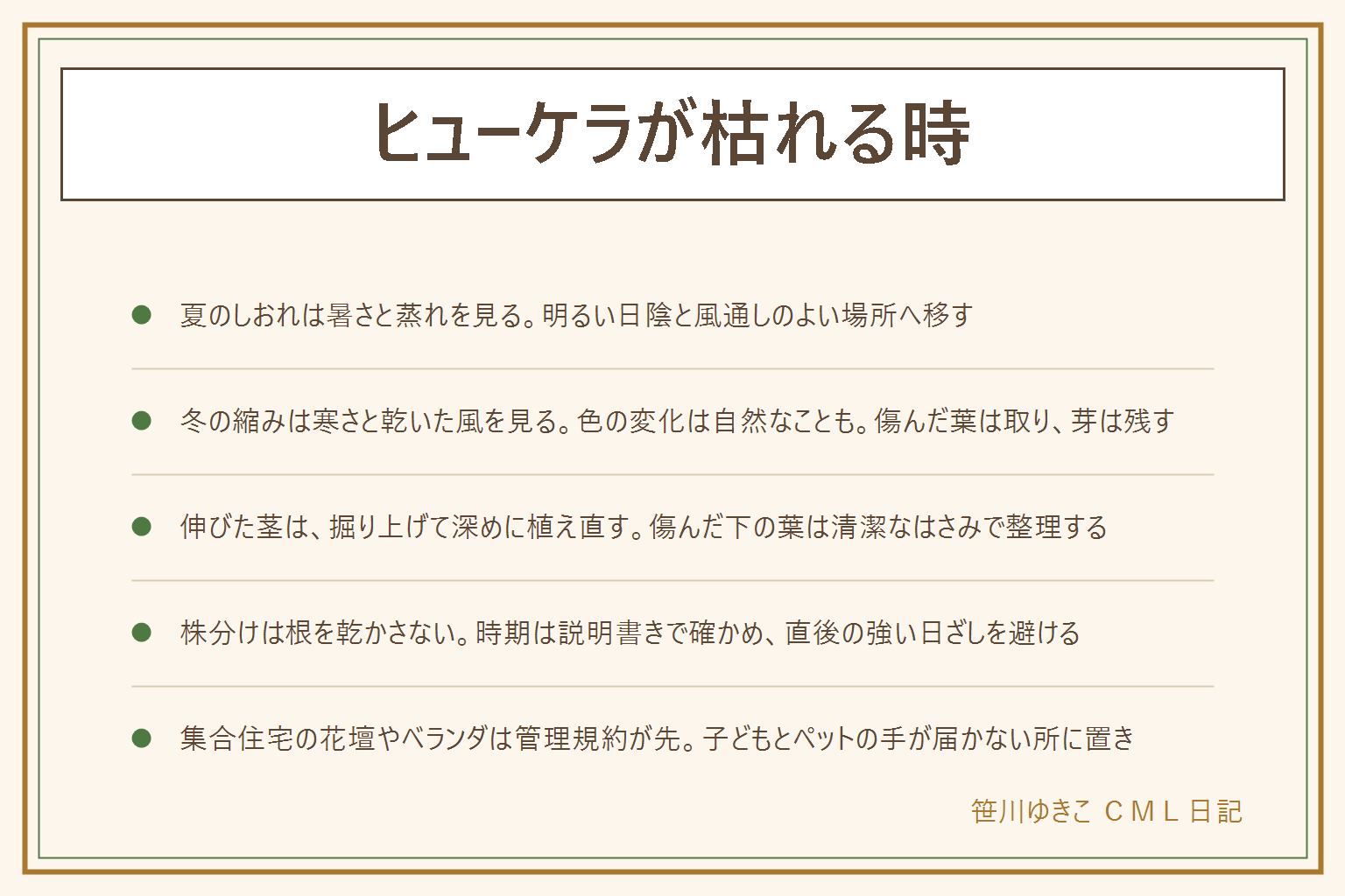 ヒューケラが枯れる時の早見表:夏に葉がしおれるのは暑さと蒸れが関わると言われ、強い日ざしと西日を避けて明るい日陰と風通しのよい場所へ移し、混んだ下葉を整理する。冬に葉が縮むのは寒さと乾いた風が関わり、色の変化は自然なこともあるので、傷んだ葉を取り株元の芽を残す。株元の茎が伸びて木のようになったら、掘り上げて深めに植え直す。株分けは時期を説明書きで確かめ、根を乾かさず、植え付けた直後は強い日ざしを避ける。集合住宅の花壇やベランダは管理規約と管理会社の案内が先。子どもとペットの手が届かない所に置き、土仕事のあとは手を洗う。