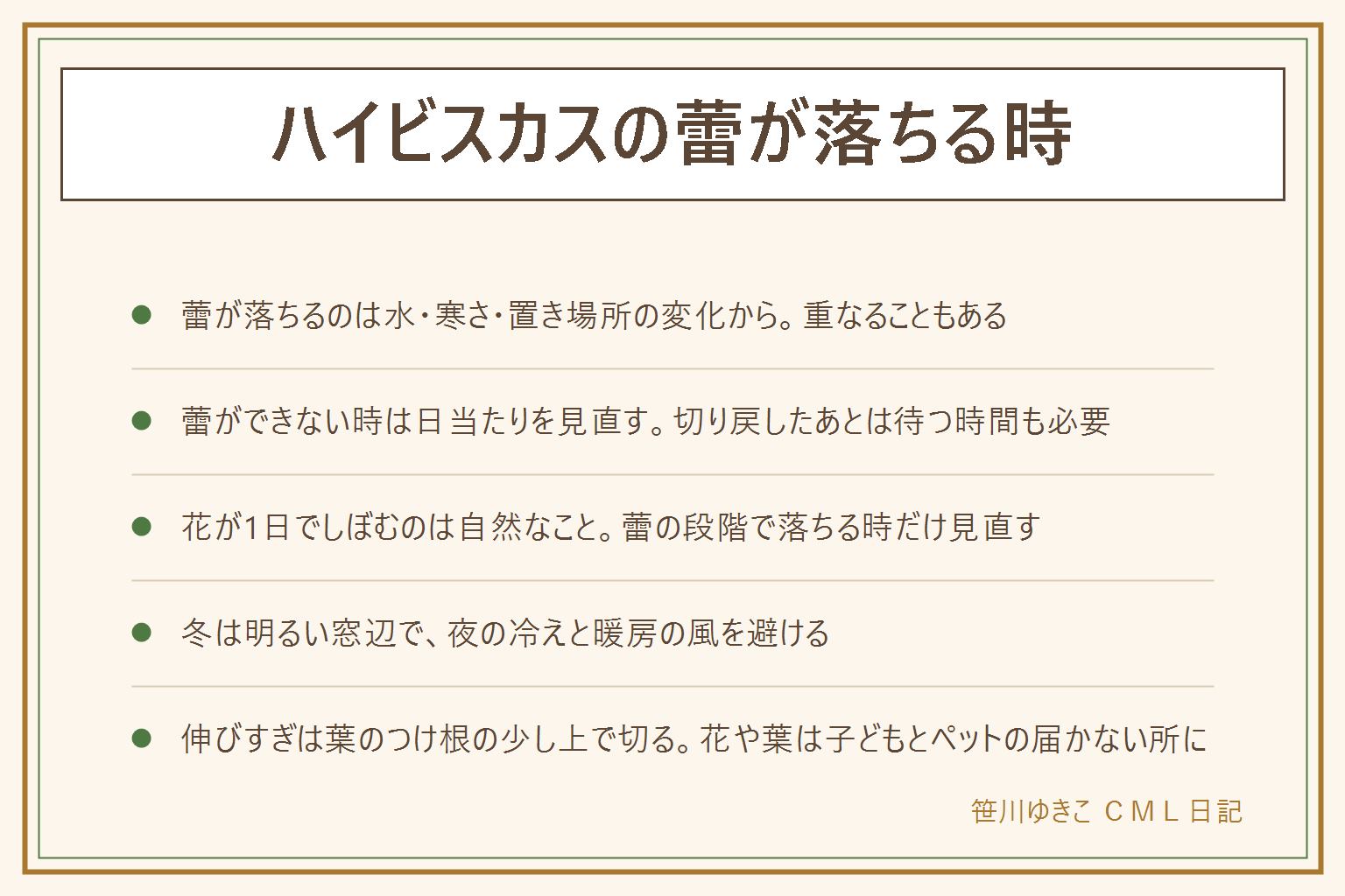 ハイビスカスの蕾が落ちる時の早見表:蕾が落ちるのは水切れ、水のやりすぎ、寒さ、置き場所の急な変化、日当たり不足のどれかが多く、重なることもある。蕾ができない時は日当たりを見直し、強く切り戻したあとは咲くまで待つ。花が1日でしぼむのは種類によって自然なことで、蕾の段階で落ちる時だけ見直す。冬は明るい窓辺に置き、夜の窓ガラスの近くの冷えと暖房の風を避ける。伸びすぎた枝は葉のつけ根の少し上で切り戻し、切った枝は清潔な土に挿して明るい日陰で挿し木にできる。花や葉や蕾は子どもやペットが口に入れないよう手の届かない所に置く