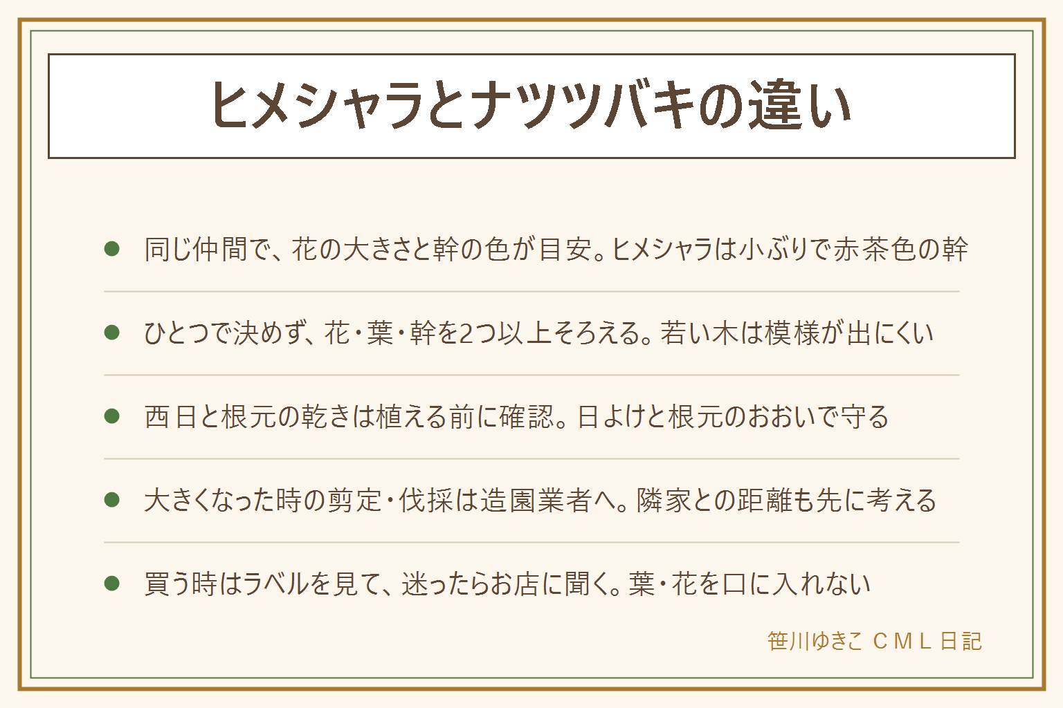 ヒメシャラとナツツバキの違いの早見表:同じ仲間で、花の大きさと幹の色が目安。ヒメシャラは花と葉が小ぶりで幹は赤茶色でつるっとしている、ナツツバキは花と葉が大きめで幹はまだら模様に見えることが多い。花がない季節は幹と葉、花の時期は花を軸に、2つ以上そろえて見分ける。シンボルツリーは植える前に西日、根元の乾き、大きくなった時、隣家との距離を考える。高い所の剪定や伐採は造園業者へ。買う時はラベルの名前を見て迷ったらお店に聞く。葉や花を口に入れない