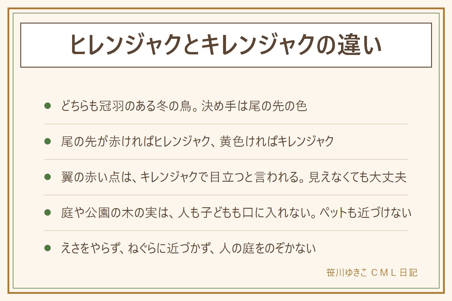 ヒレンジャクとキレンジャクの違いの早見表:どちらも頭に冠羽があり、目を通る黒い線があるムクドリくらいの大きさの冬の鳥で、群れで行動する。尾の先が赤いのがヒレンジャク、黄色いのがキレンジャク。翼の赤い小さな点はキレンジャクで目立つと言われる。冠羽のない灰色の鳥はヒヨドリ、黒っぽい茶色の鳥はムクドリかも。庭や公園の木の実は人も子どもも口に入れず、ペットも近づけない。えさをやらない、ねぐらに近づかない、人の庭をのぞかない。離れて双眼鏡で静かに見る。