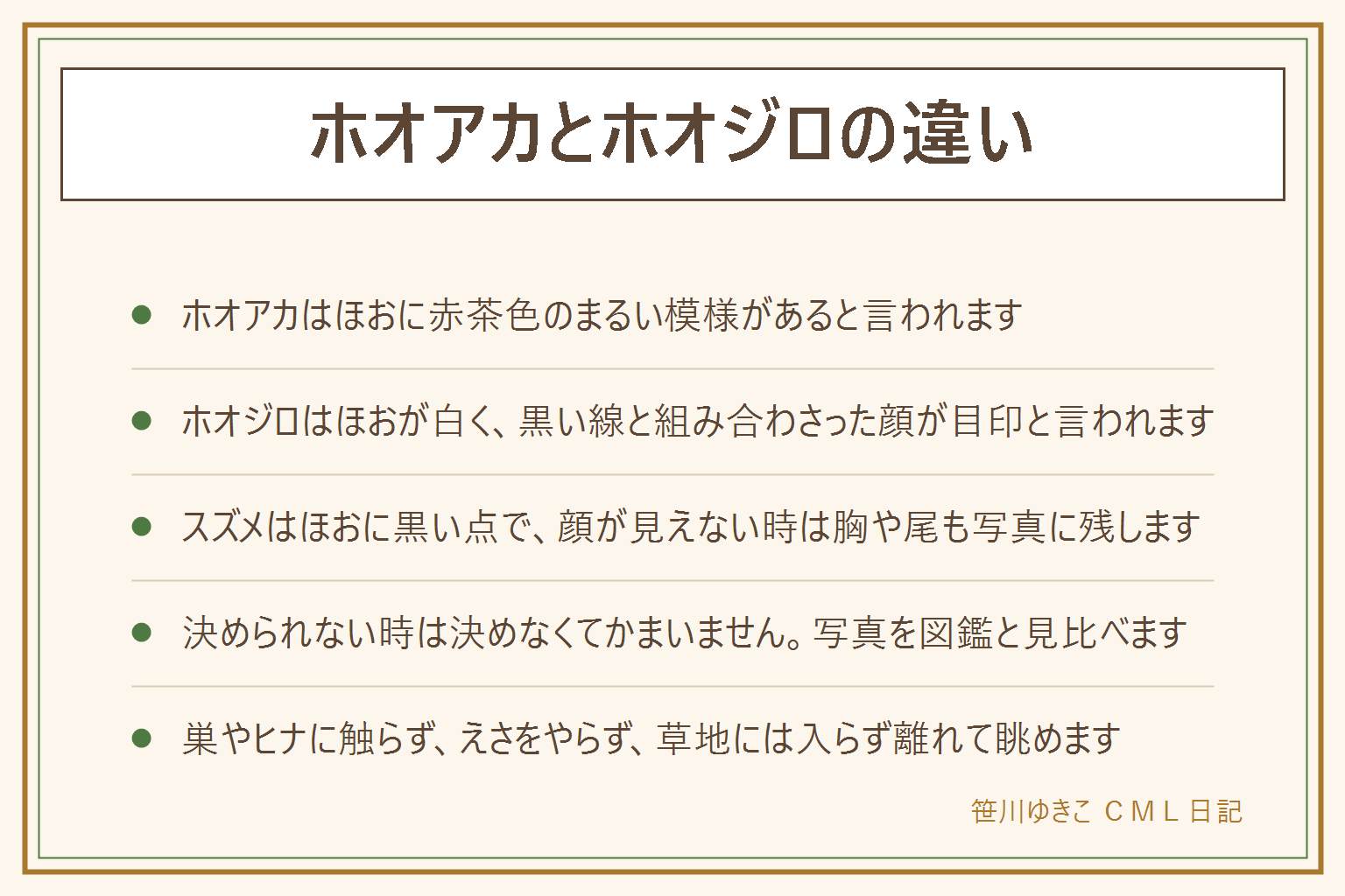 ホオアカとホオジロの違いの早見表:ホオアカはほおに赤茶色のまるい模様がある。ホオジロはほおが白く、黒い線と組み合わさった顔の模様が目印。どちらもスズメくらいの大きさで、草地や林のふちで見かけると言われる。スズメはほおに黒い点。顔が見えない時は胸の模様や尾も写真に残し、図鑑と見比べる。決められなければ決めなくてよい。野鳥は法律で守られているため、捕まえない、飼わない、巣やヒナに触らない、えさ(パンを含む)をやらない、鳴き声を流して呼ばない、草地や私有地に入らない、離れて静かに双眼鏡で見る