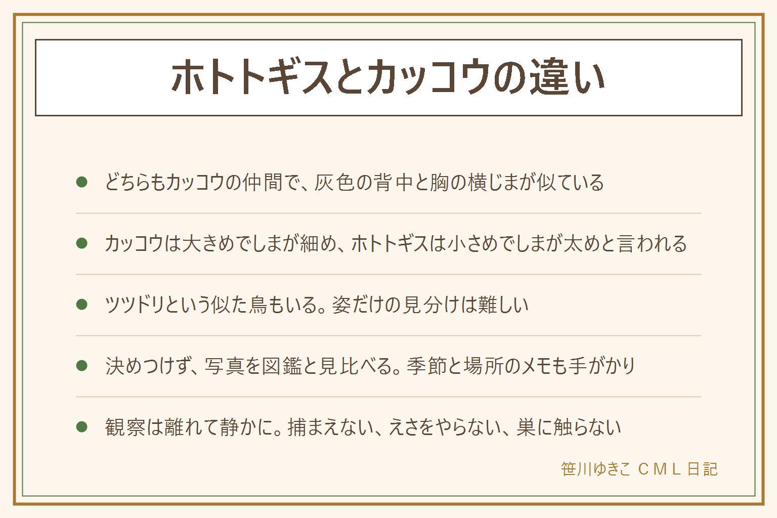ホトトギスとカッコウの違いの早見表:どちらもカッコウの仲間で灰色の背中と胸の横じまが似ている。カッコウはハトくらいで大きめ、胸のしまは細め、開けた草地や林の縁。ホトトギスはハトより小さめでやや細身、しまは太め、山地の林など。ツツドリという似た鳥もいて姿だけの見分けは難しい。どちらも托卵と言われ、預ける相手は鳥によって違う。姿がはっきり見えない時は決めつけず、写真を図鑑と見比べ、季節と場所をメモする。野鳥は法律で守られているので、捕まえない、えさをやらない、巣に触らない、離れて静かに見る。