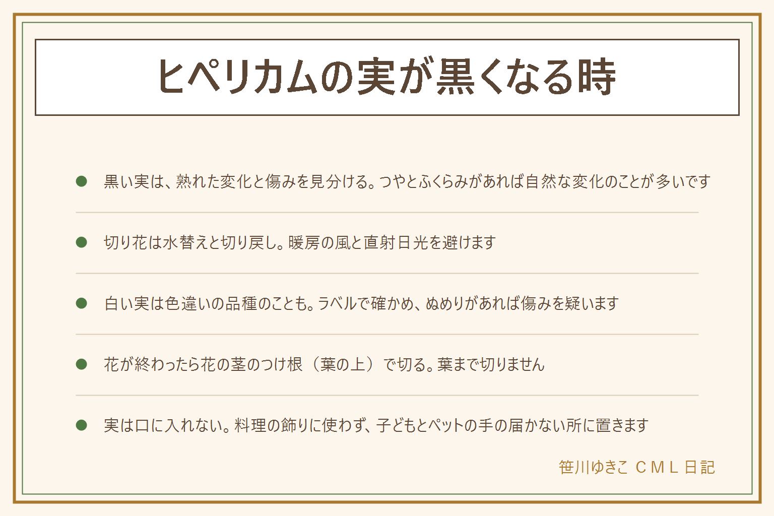 ヒペリカムの実が黒くなる時の早見表:実は熟すにつれて赤や茶色から黒っぽく変わることがあり、つやとふくらみがあれば自然な変化のことが多い。ぬめりやカビのような点があれば傷みを疑って取り除く。切り花は水をこまめに替え、茎の先を切り戻し、水に浸かる葉を取り、暖房の風と直射日光を避ける。白い実は色違いの品種のこともあるのでラベルで確かめる。花が終わったら花の茎のつけ根、葉の上で切り、葉まで切らない。花ばさみの刃先は自分の体と反対に向け、使ったら子どもの手の届かない所へ。実は口に入れず料理の飾りにも使わず、子どもとペットの手の届かない所に置く。公園や他人の庭の枝は持ち帰らない