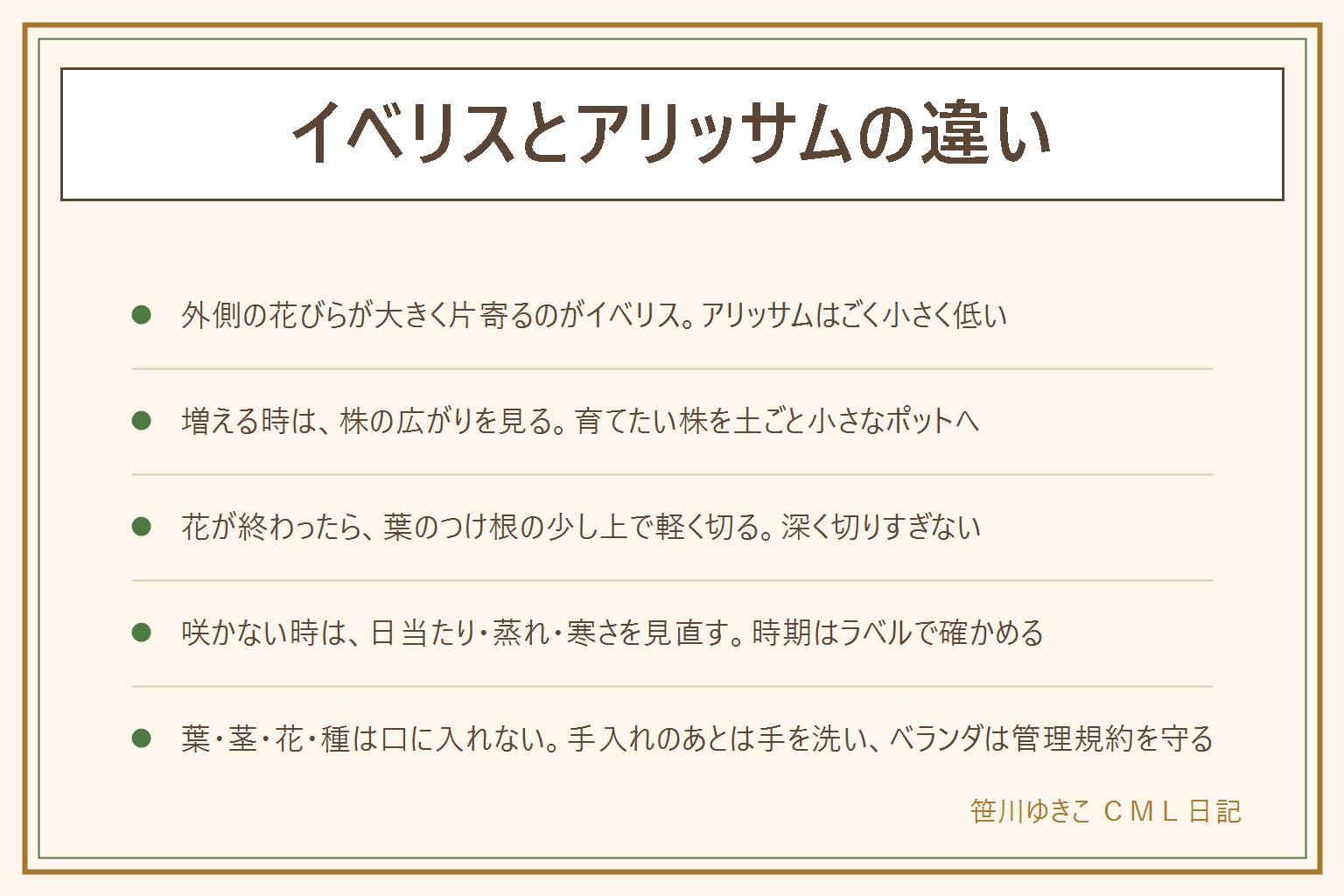 イベリスとアリッサムの違いの早見表:イベリスは小花の外側の花びらが大きく片寄る、アリッサムはごく小さな花が低くまとまる、オルレアはレースのような花で背が高く葉に切れ込みがある。増える時は株の広がりを見て、育てたい株を土ごと小さなポットへ移す。花が終わったら葉のつけ根の少し上で軽く切り、葉のない所まで深く切らない。花が咲かない時は日当たり、蒸れ、切った位置、寒さを見直し、時期はラベルで確かめる。庭植えは水はけと置き場所、ベランダは管理規約を守る。葉や茎や花や種は口に入れず、手入れのあとは石けんで手を洗い、ペットの届かない所に置く