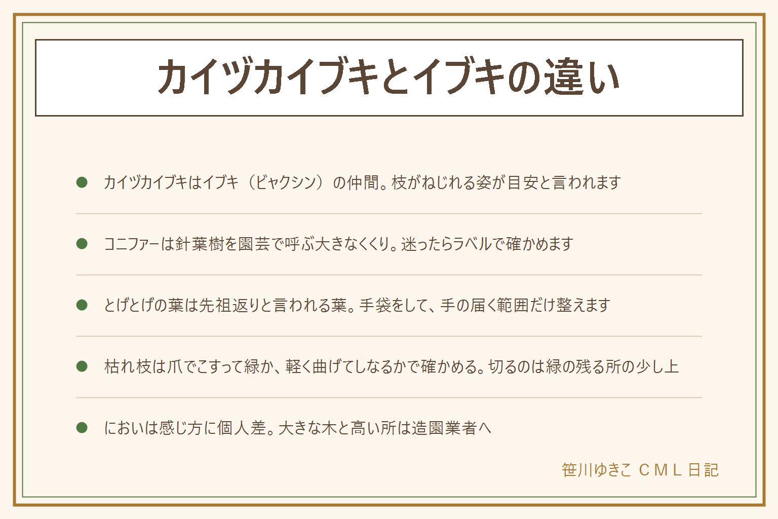 カイヅカイブキとイブキの違いの早見表:カイヅカイブキはイブキ(ビャクシン)の仲間で、枝がねじれて炎のように伸びる姿が目安と言われる。コニファーは針葉樹を園芸で呼ぶ大きなくくり。とげとげの葉は先祖返りと言われる葉で、手袋をして手の届く範囲だけ整える。枯れ枝は爪で樹皮を少しこすって緑か、枝を軽く曲げてしなるかで確かめ、切るのはぽきっと折れる所より下の緑の残る所の少し上。においは感じ方に個人差がある。大きな木や高い所の手入れは造園業者へ。隣家への越境は話し合い、賃貸は規約に従う。子どもとペットは葉や実を口に入れないよう注意