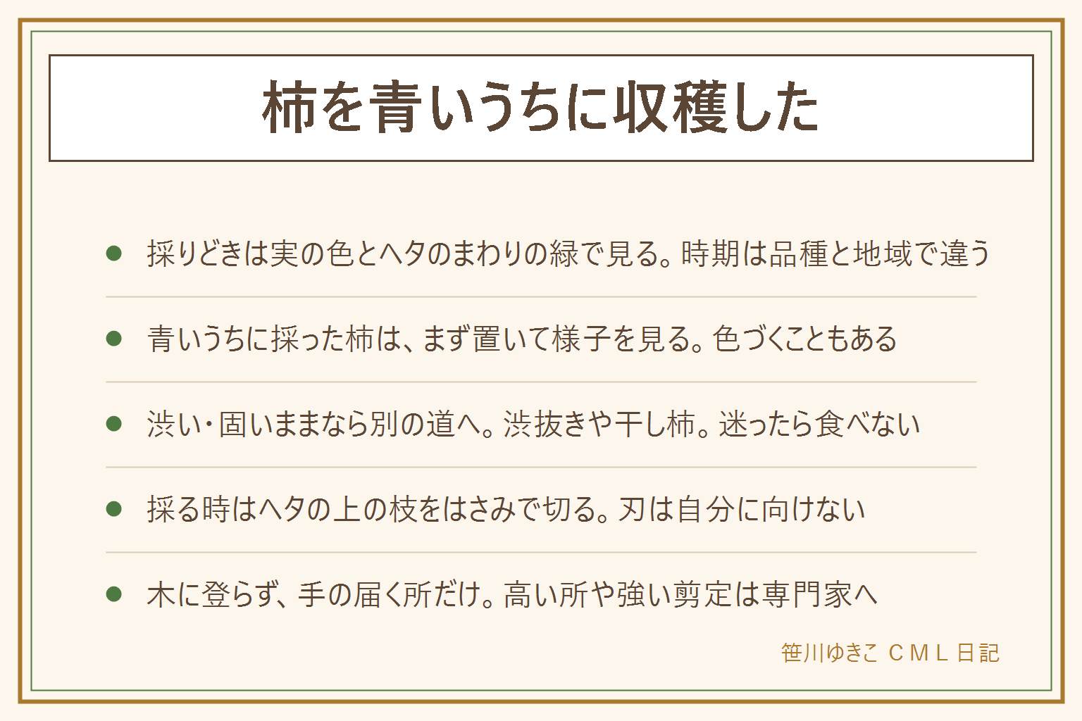 柿を青いうちに収穫した時の早見表:採りどきは実の色が橙に近づく、ヘタのまわりの緑が抜ける、ずっしり重いが目安で、時期は品種と地域で違いJAや園芸店の案内を参考にする。青いうちに採った柿はすぐ食べず常温の風通しの良い所で色づくか様子を見る、色づいても渋ければ渋抜きや干し柿、傷やカビや酸っぱいにおいがあれば食べず迷ったら食べない。味見は切ってほんの少しだけで子どもにはさせず刃物は自分に向けない。採り方は実を片手で支えヘタの上の枝をはさみで切ってそっとかごに置く。木に登らず脚立にも乗らず手の届く所だけ、高い所の実や強い剪定は植木屋さんや造園業者やJAや園芸店に相談、毛虫は素手で触らない、隣の家に出た枝は話し合う。鳥はネットを掛けるか早めに採る