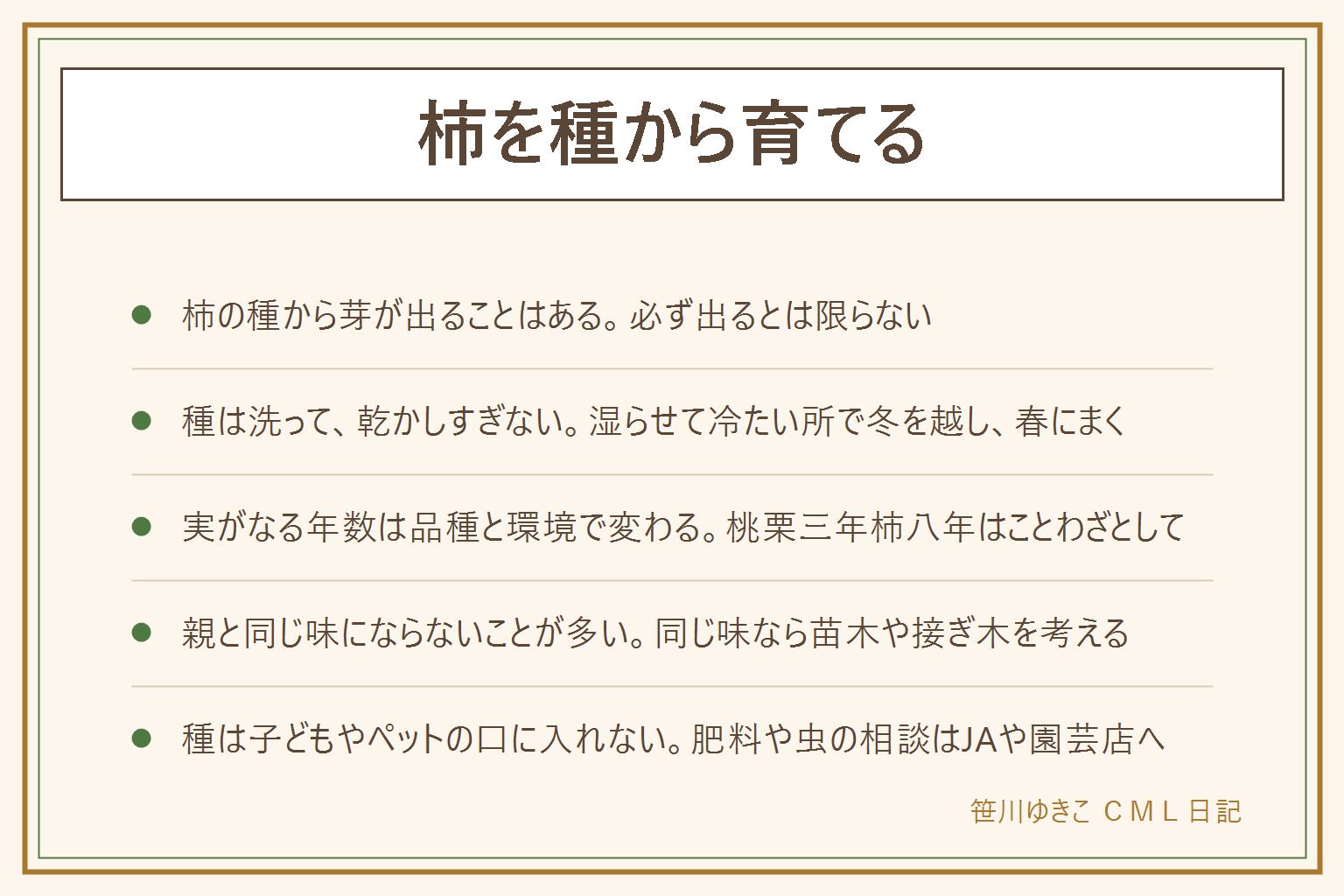 柿を種から育てる早見表:柿の種から芽が出ることはあるが必ず出るとは限らず、種から育てた木は親と同じ味にならないことが多いと言われる。種は傷んでいない柿から選び、水で洗って乾かしすぎず、湿らせた紙で包んで袋に入れ、冷蔵庫の野菜室のような冷たい所で冬を越し、春に育苗ポットに浅くまく。時期は地域で違いJAや園芸店の案内に合わせ、芽が出るまでの日数や実がなる年数は品種と環境で変わり、桃栗三年柿八年はことわざとして紹介する。芽が出たら日当たりの良い所で土を乾かしすぎず、肥料や虫や枝の大きな剪定は園芸店やJAや植木屋さんに相談し、毛虫は素手で触らない。実を早く、同じ味でほしい場合は苗木を買うか接ぎ木を考える。種は子どもやペットが口に入れないよう手の届かない所に置き、犬や猫に柿や種を与えない