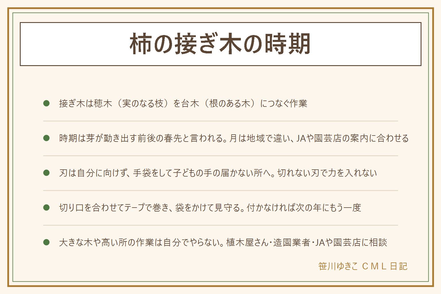 柿の接ぎ木の早見表:接ぎ木は実のなる枝である穂木を根のある木である台木につなぐ作業。時期は芽が動き出す前後の春先と言われ、地域で違うためJAや園芸店の案内に合わせる。用意する物は穂木、台木、接ぎ木用の小刀かカッター、接ぎ木テープ、透明な袋。手順は穂木を用意、台木を決める、切り口を作る、皮のすぐ内側どうしを合わせる、テープで巻く、袋をかけて見守る。刃は自分に向けず手袋をはめて子どもの手の届かない所に置き、切れない刃で力を入れない。穂木は手の届く所の枝だけ取り、木に登らず脚立にも乗らず、大きな木や高い所の作業は植木屋さんや造園業者に相談する。穂木の芽が動けば付いている可能性があり、しぼむ、黒くなる、カビは付かなかったと考える。種から育てた木に好きな品種の穂木をつなぐと考える