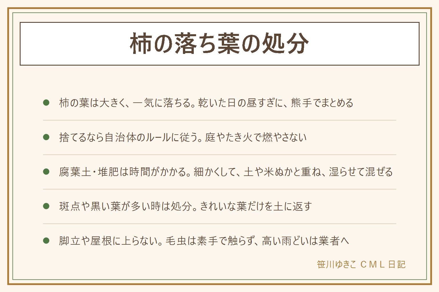 柿の落ち葉の処分の早見表:柿の葉は大きく一気に落ちて濡れると貼りつく。集めるのは乾いた日の昼すぎに熊手で、手袋をして毛虫に注意、ブロワーは音に気をつける。捨てる時は自治体のルールに従い、可燃ごみや落ち葉の回収を確認し、庭やたき火で燃やさない。腐葉土や堆肥は葉を細かくして土や米ぬかと重ね、湿らせて時々混ぜる、時間がかかる。斑点や黒い葉が多い時は堆肥にせず処分。雨どいや側溝の詰まりは手袋で取り除き、高い所は脚立や屋根に上らず業者へ。濡れた落ち葉は滑るので注意