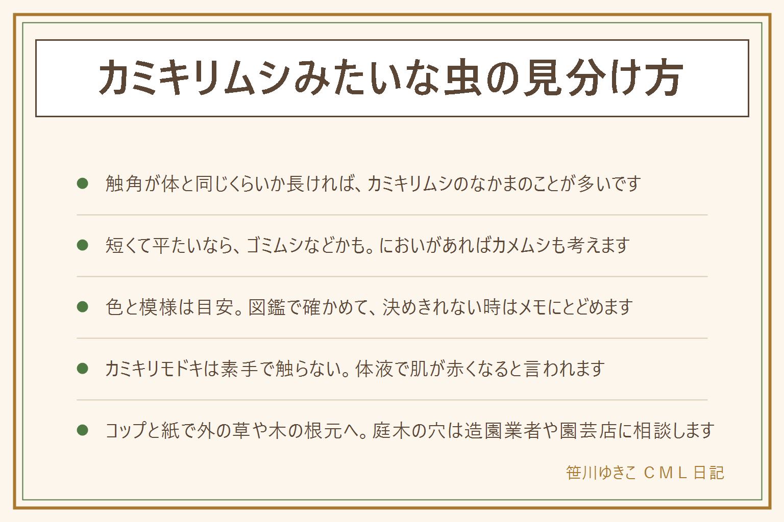 カミキリムシみたいな虫の見分け方の早見表:触角が体と同じくらいか長い甲虫はカミキリムシのなかまのことが多い。触角が短く平たければゴミムシなど、においがあればカメムシ、素早く走る平たい虫はゴキブリかもしれない。色と模様は、黒に白い点、茶色で大きい、茶色でまだらで小さい、黄色と黒のタイプがある。カミキリモドキは羽がやわらかく、体液で肌が赤くなると言われるので素手で触らない。見つけたらコップをかぶせて紙を差し込み、外の草や木の根元へ放す。殺さない、叩かない、つぶさない。庭木の穴や木くずは造園業者や園芸店へ相談