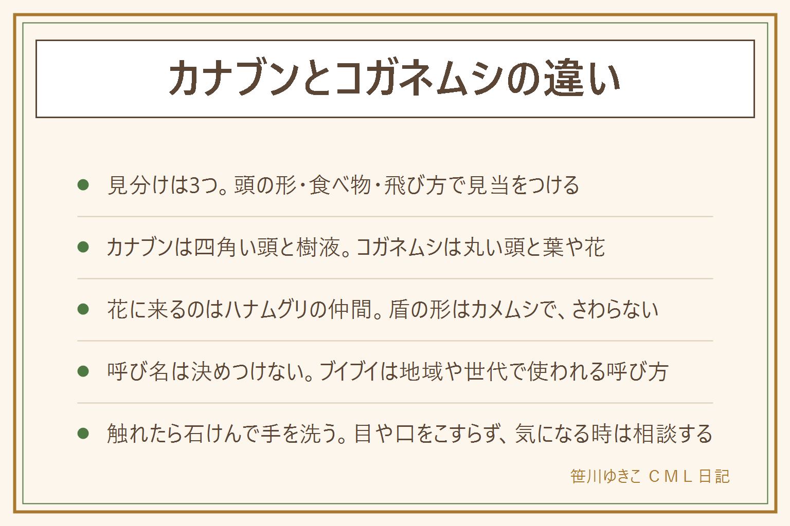 カナブンとコガネムシの違いの早見表:見分けは頭の形・食べ物・飛び方の3つ。カナブンは頭が四角っぽく、樹液や熟した果物に集まり、硬い羽を閉じて飛ぶと言われる。コガネムシは丸っぽくつやが強く、葉や花を食べ、羽を開いて飛ぶと言われる。花に来る小さめの甲虫はハナムグリの仲間、盾の形でにおいを出すことがあるのはカメムシ、角があるのはカブトムシ。ブイブイは地域や世代で使われる呼び名。素手でつかまず、触れたら石けんで手を洗い、目や口をこすらない。気になる症状は医療機関に相談する