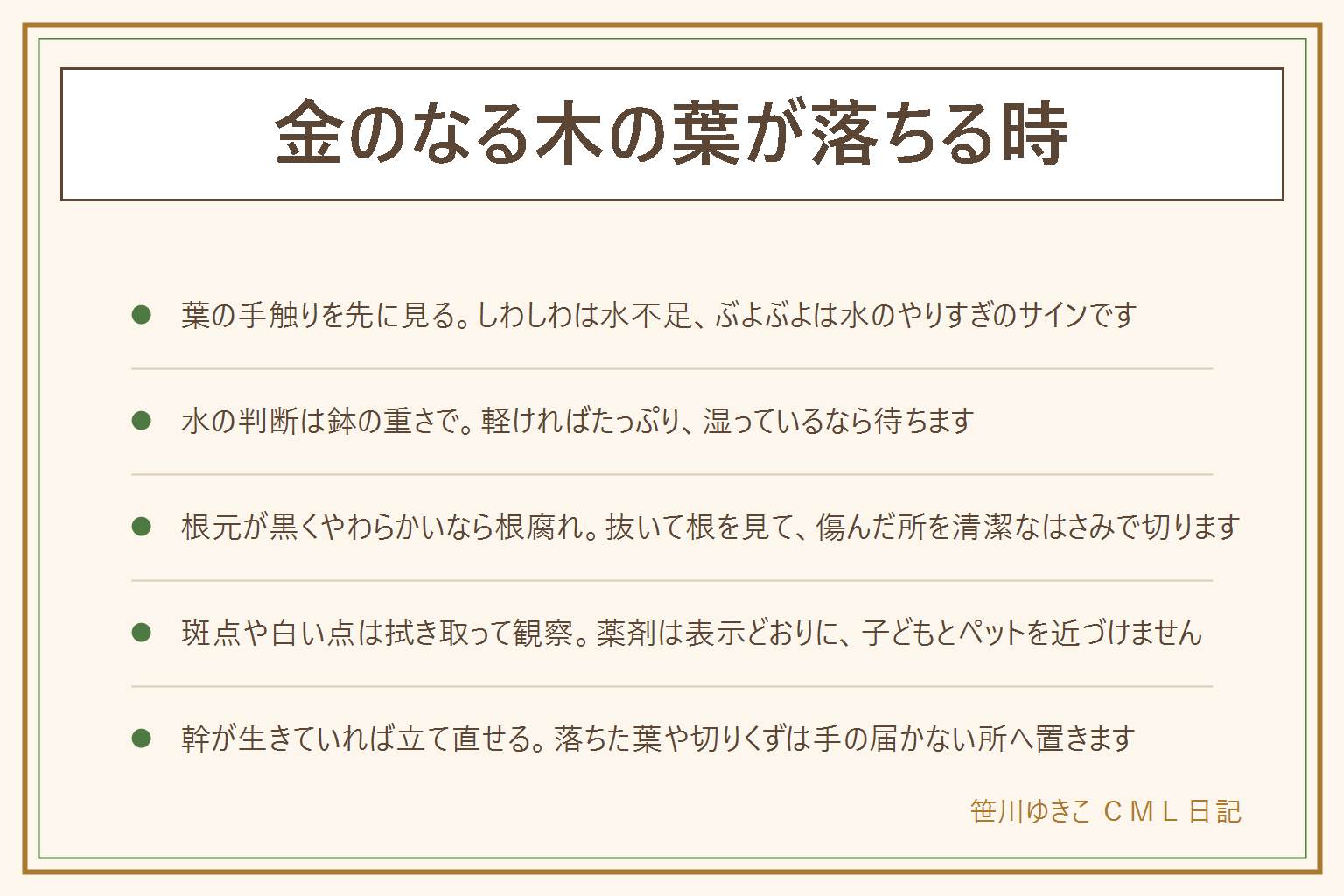金のなる木の葉が落ちる時の早見表:まず葉の手触りと幹の根元を見る。しわしわは水不足で鉢が軽ければ水をたっぷり。ぶよぶよ・半透明・黄色は水のやりすぎで根腐れを疑い、水を止めて鉢から抜いて根を見る。黒くやわらかい根は清潔なはさみで切り、乾かしてから乾いた土に植え直す。黒い斑点や白い点々は日焼け・水のしみ・虫の可能性があり、拭き取って観察する。幹が緑〜茶色で固ければ生きている可能性が高く、新芽を待つか挿し木で増やし直す。落ちた葉や切りくずは子どもとペットの口に入らない所へ、口に入れたら医療機関か中毒の相談窓口へ