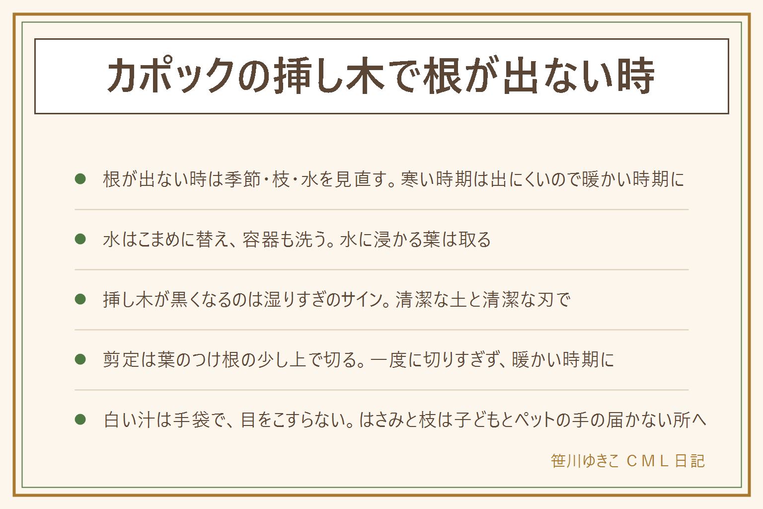 カポックの挿し木で根が出ない時の早見表:季節と枝の状態と水の入れ替えを見直す。水差しは水をこまめに替え容器も洗い、明るい日陰に置き、水に浸かる葉は取る。挿し木が黒く腐る時は土の湿りすぎと切り口の傷みを疑う。剪定は伸びた枝を葉のつけ根の少し上で切るのが基本で、一度に切りすぎず暖かい時期に行う。ひょろひょろ伸びたら光を足して葉のつけ根の少し上で切り戻す。シェフレラやヤドリフカノキは同じ仲間の呼び名でラベルで確認し、パキラは別の植物。白い汁は手袋をして目をこすらず、はさみと枝は子どもとペットの手の届かない所へ