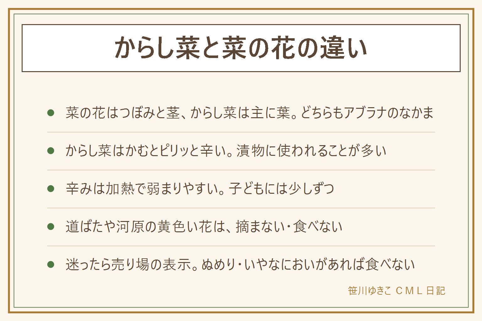 からし菜と菜の花の違いの早見表:どちらもアブラナのなかまで黄色い花を咲かせる。菜の花は主につぼみと茎を食べ、ほろ苦さが中心。からし菜は主に葉を食べ、かむとピリッと辛く、漬物に使われることが多い。売り場の表示で確かめる。辛みは加熱で弱まりやすく、子どもには少しずつ。道ばたや河原の黄色い花は私有地かもしれず、決まりのある場所もあり、見分けもむずかしいので摘まない、食べない。保存は湿らせたキッチンペーパーで包んで袋に入れ立てて冷蔵する。ぬめりやいやなにおいがあれば食べない