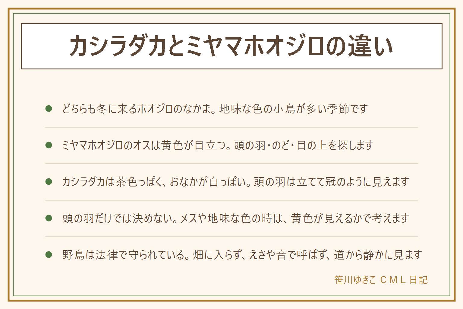 カシラダカとミヤマホオジロの違いの早見表:どちらも冬に日本へ来るホオジロのなかま。ミヤマホオジロのオスは頭の冠のような羽とのど、目の上が黄色く分かりやすい。カシラダカは全体が茶色っぽく、頭の羽を立てて冠のように見えることがあり、おなかは白っぽい。頭の羽が立っているだけでは決められないので、黄色が見えるかを先に確かめる。メスや地味な色の時は似るので、写真を撮って図鑑と見比べる。野鳥は法律で守られているので、捕まえない、飼わない、えさをまかない、音を流して呼ばない、巣やヒナに触らない。畑や私有地、立入禁止の場所に入らず、子どもは大人と一緒に、犬は放さない