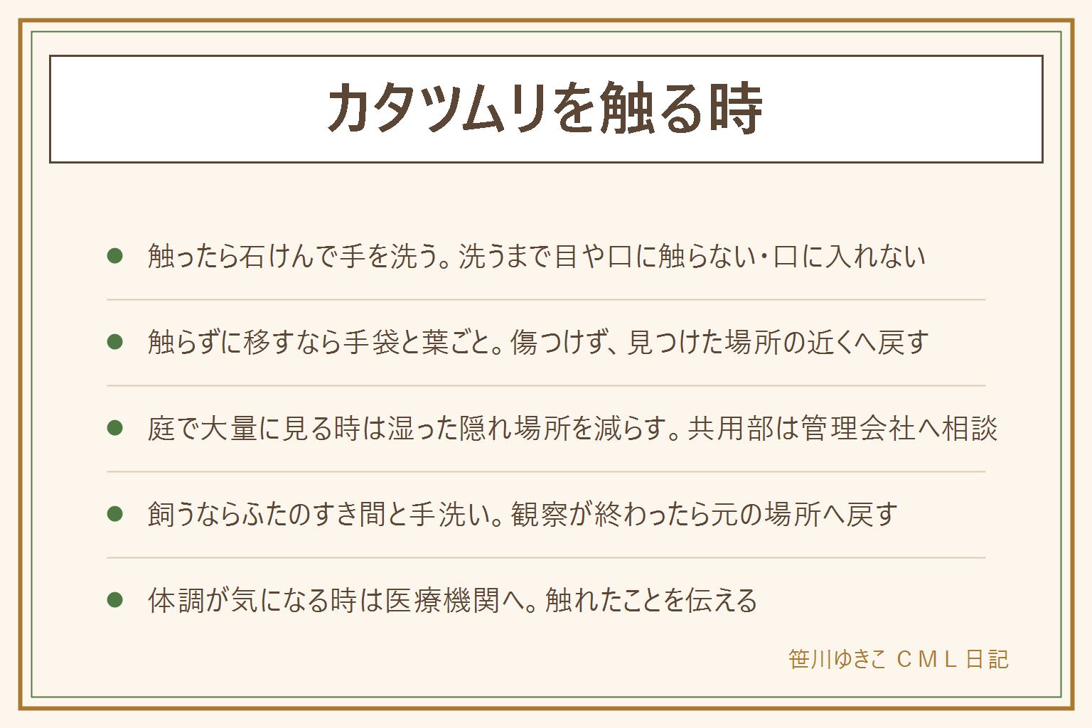 カタツムリを触る時の早見表:カタツムリやナメクジには寄生虫がいることがあると言われるため、触ったら石けんで手を洗い、洗うまで目や口をこすらず、口に入れない。庭の野菜や葉ものは食べる前に洗う。触らずに移すなら、手袋をして、のっている葉や紙ごと持ち、植え込みの陰へ。傷つけず、追い回さず、見つけた場所の近くへ戻す。庭で大量に見る時は、落ち葉と鉢の下の板を片づけて湿った隠れ場所を減らし、共用部は管理会社に相談。飼う時はふたをすき間なく閉め、世話のあとは手を洗い、観察が終わったら元の場所へ戻す。体調が気になる時は医療機関へ