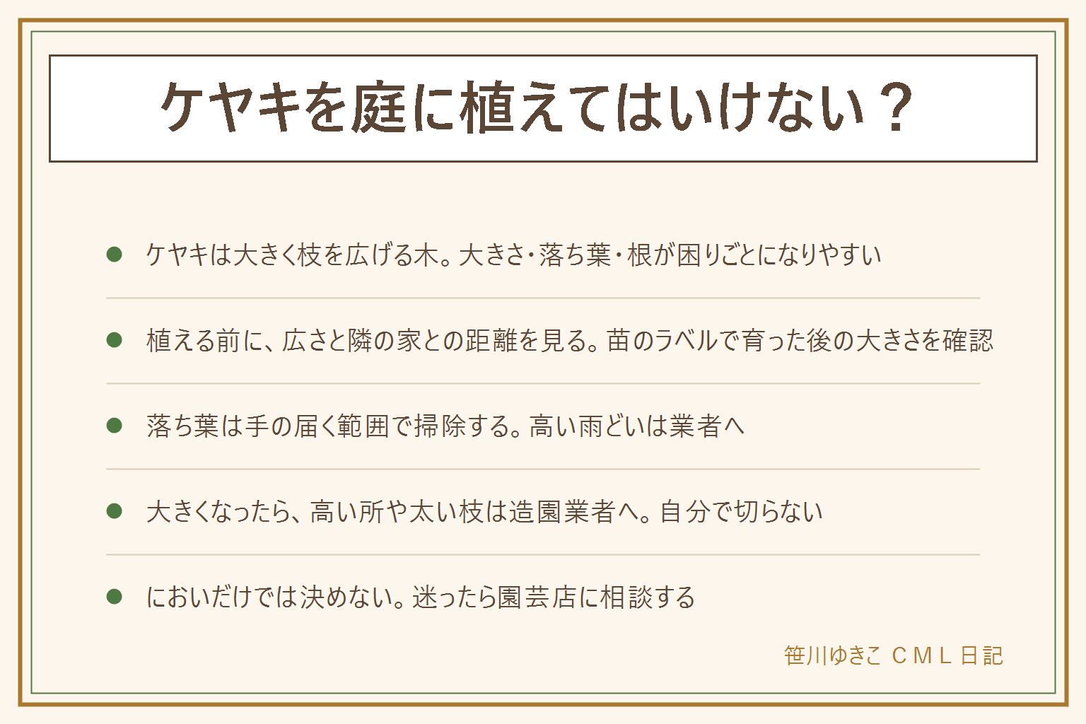 ケヤキを庭に植える前の早見表:ケヤキは大きく枝を広げて育つ木で、一般的な家の庭では大きさ・落ち葉・根が困りごとになりやすい。植える前に庭の広さと隣の家との距離を見て、手入れは造園業者に頼む前提で考える。苗のラベルと園芸店の説明で育った後の大きさを確かめる。落ち葉は手の届く範囲で掃除し、高い所の雨どいは業者へ。手の届く範囲の小枝は手袋をして小さなはさみで切り、高い所の枝や太い枝は造園業者へ相談する。においは新芽や花の季節に感じることがある程度で、続く時は園芸店や自治体に相談する。