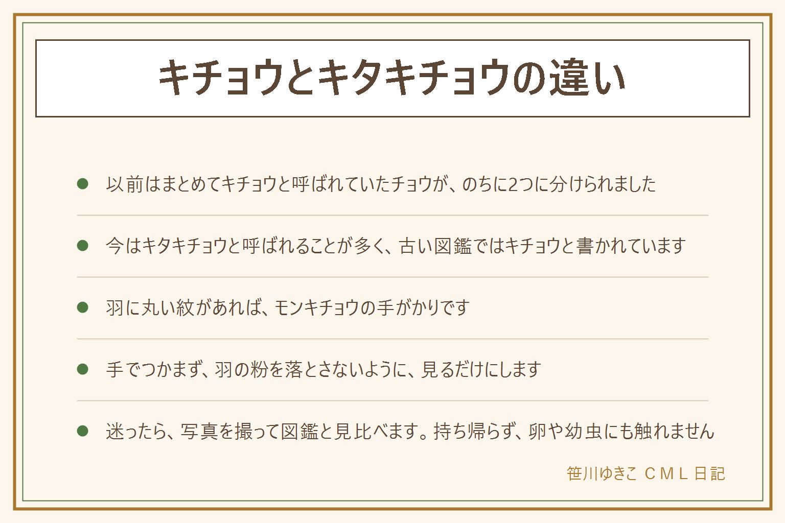 キチョウとキタキチョウの違いの早見表:以前はまとめてキチョウと呼ばれていたチョウが、のちに2つに分けられた。本州などでふつうに見る黄色い小さなチョウは、今はキタキチョウと呼ばれることが多い。古い図鑑ではキチョウと書かれていることがある。南の島などで見た時は、図鑑の分布で確かめる。羽に丸い紋があればモンキチョウ。観察の決まりは、手でつかまない、羽の粉が落ちる、持ち帰らない、卵や幼虫に触れない、花や枝を折らない。迷ったら写真を撮って図鑑と見比べる