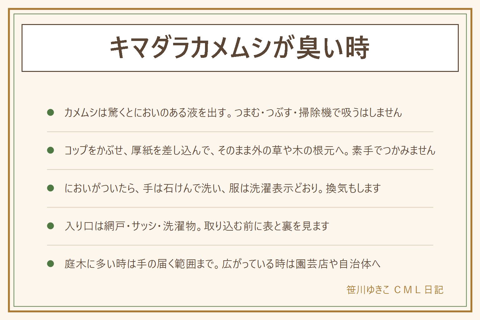 キマダラカメムシが臭い時の早見表:カメムシは驚くとにおいのある液を出すので、つまんだりつぶしたり掃除機で吸ったりしない。素手でつかまず、コップをかぶせて下に厚紙を差し込み、そのまま外の草や木の根元へ放す。においが手についたら石けんで洗い、目や口をさわる前に洗う。服は洗濯表示どおりに洗い、部屋は換気する。入り口になりやすい網戸のすき間、サッシのまわり、洗濯物は取り込む前に表と裏を見る。庭木に多い時は手の届く範囲で外へ移し、広がっている時は園芸店や自治体へ相談する。子どもとペットは虫を素手でつかまない