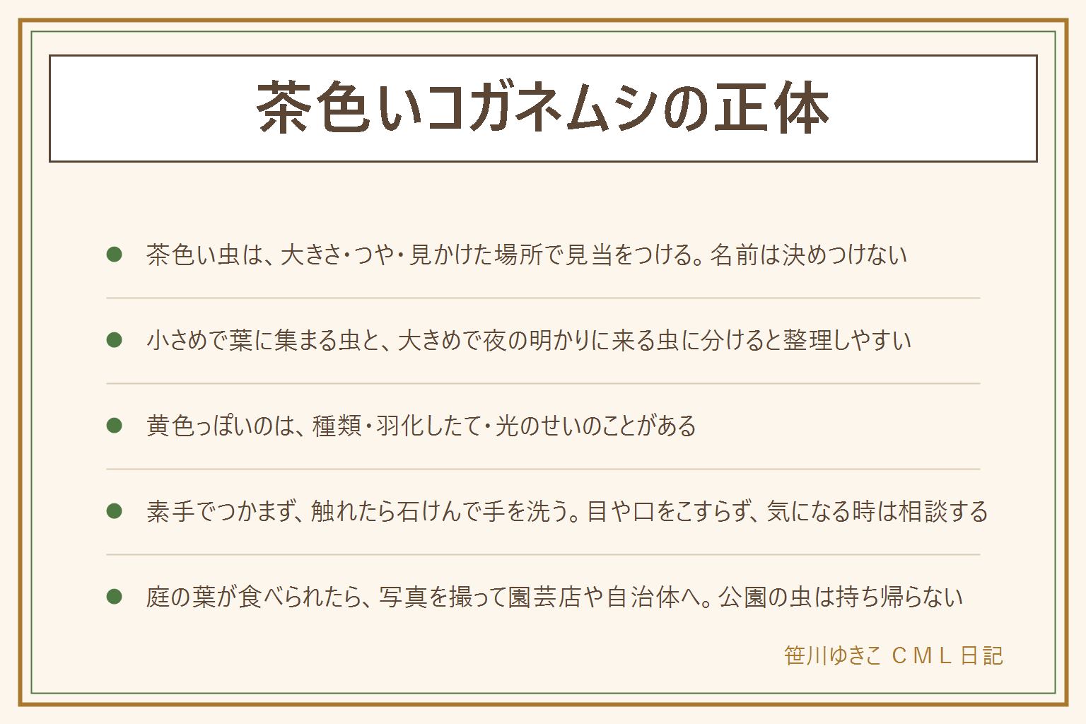 茶色いコガネムシの見分け方の早見表:大きさ・つや・見かけた場所の3点で見当をつける。小さめの米粒くらいで葉に集まる虫、大きめの指先くらいで夜の街灯や網戸に来る虫、黄色っぽい虫は種類の違いや羽化したて、光のせいのことがある。種類の名前は言われるまでにして、写真に撮って図鑑で見比べる。素手でつかまず、触れたら石けんで手を洗い、目や口をこすらない。気になる症状は医療機関に相談する。庭の葉が食べられたら園芸店や自治体の案内に相談する