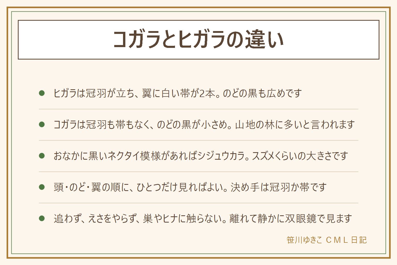 コガラとヒガラの違いの早見表:ヒガラは頭に短い冠羽が立ち、のどの黒が広く、翼に白い帯が2本あり、後ろ首に白い斑がある。コガラは冠羽がなく、のどの黒が小さめで、翼に白い帯がない。シジュウカラはほおが白く、おなかに黒いネクタイ模様がある。大きさはシジュウカラがスズメくらい、コガラとヒガラはスズメより小さい。見る順番は頭、のど、翼。冬の林では小鳥が群れで動くことがある。観察の決まりは、捕まえない、飼わない、えさをやらない、巣やヒナに触らない、追いかけない、犬は短いリード