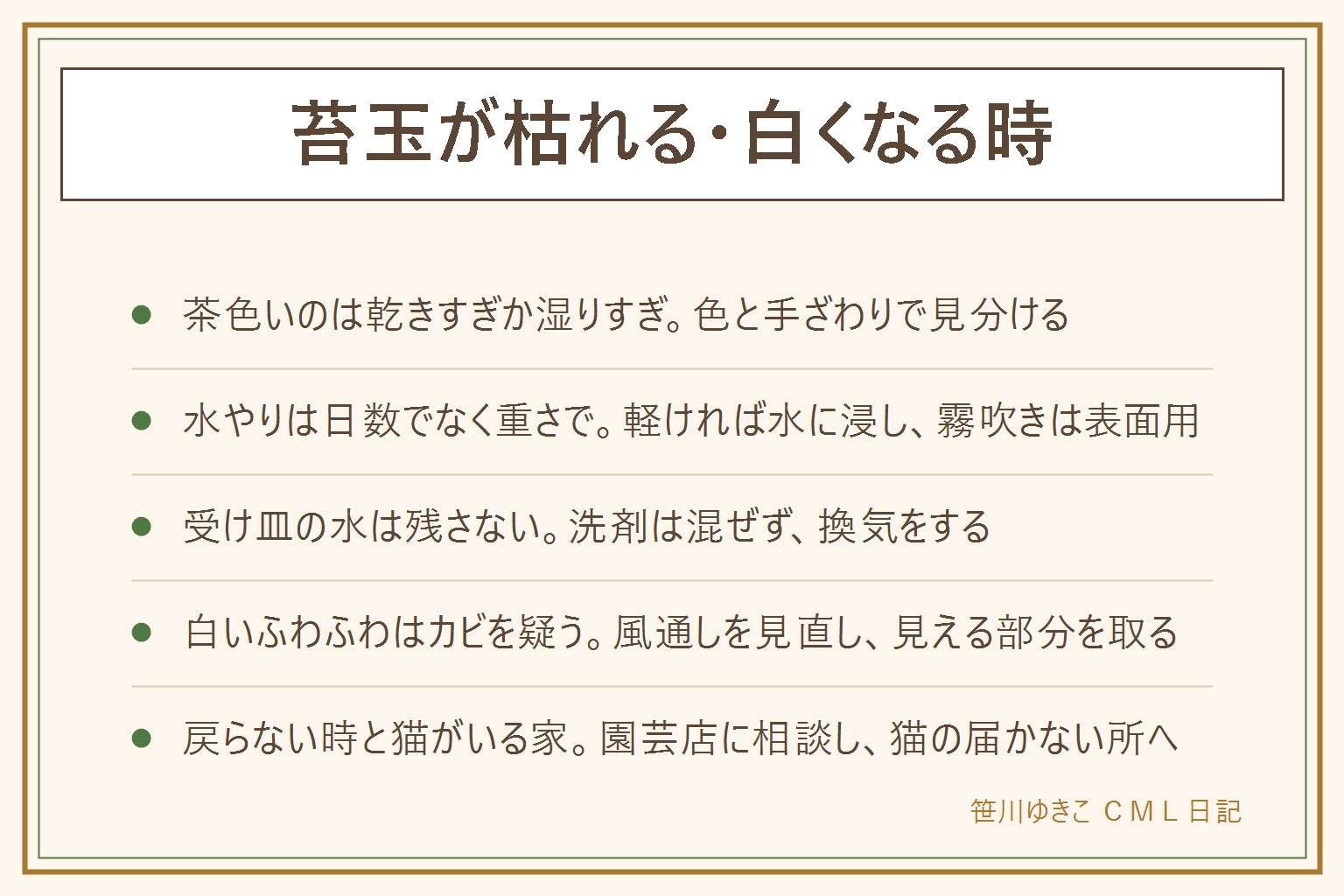 苔玉が枯れる・白くなる時の早見表:全体が茶色でかさかさなら水不足、まだらでぐにゃっとするなら水のやりすぎ、白い粉は成分の跡や色抜け、白くふわふわならカビを疑う、黒くてにおうなら傷みが進んでいる可能性。水やりは日数でなく持った重さで見て、軽ければ水に浸して含ませ、霧吹きは表面の湿り気用、受け皿の水は残さない。白いカビは風通しを見直し、見える部分をそっと取り、薬剤を使う場合は表示どおりに換気して子どもとペットを近づけない。塩素系と酸性の洗剤は混ぜない。戻らない時は園芸店に相談。猫がいる家は届かない高い所か扉のある棚に置き、様子がおかしい時は獣医さんへ