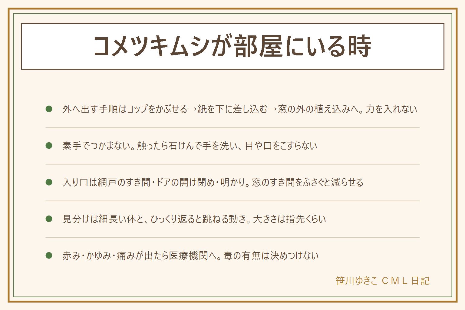 コメツキムシが部屋にいる時の早見表:外へ出す手順はコップをかぶせる、紙を下に差し込む、窓の外の植え込みへ、の3つ。素手でつかまず、触ったら石けんで手を洗い、目や口をこすらない。入り込む場所は網戸のすき間、ドアの開け閉め、部屋の明かり。見分けは細長い茶色から黒っぽい体で、大きさは指先くらい、ひっくり返ると跳ねて起き上がる。似た虫はカナブンとゴミムシ。毎晩入る時は網戸を閉め、窓のすき間をふさぎ、夜の明かりを見直す。拭き取りは使い捨ての紙で、洗剤は表示どおり、塩素系と酸性は混ぜない。赤みやかゆみ、痛みが出たら医療機関へ相談する