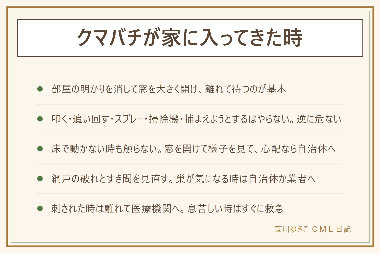 クマバチが家に入ってきた時の早見表:叩かず追い回さず、部屋の明かりを消して窓を大きく開け、カーテンを寄せて出口を広くし、離れて静かに待つ。ほかの窓や戸は閉めておく。子どもとペットは先に別の部屋へ。叩く、手で払う、追い回す、スプレー、掃除機、コップや紙で捕まえるはやらない。床で動かない時も素手で触らず、窓を開けて様子を見て、心配なら自治体の窓口に相談。入り口の見直しは、網戸の小さな破れ、戸のすき間、開けっぱなしの窓、洗濯物の取り込み。巣が気になる時は自分で手を出さず自治体の窓口か専門の業者へ。メスは刺すことがあり、オスには針がないと言われるが見分けは難しいのでどちらも触らない。刺された時は落ち着いて離れ、医療機関へ相談し、息苦しい時やじんましんが出た時はすぐに救急
