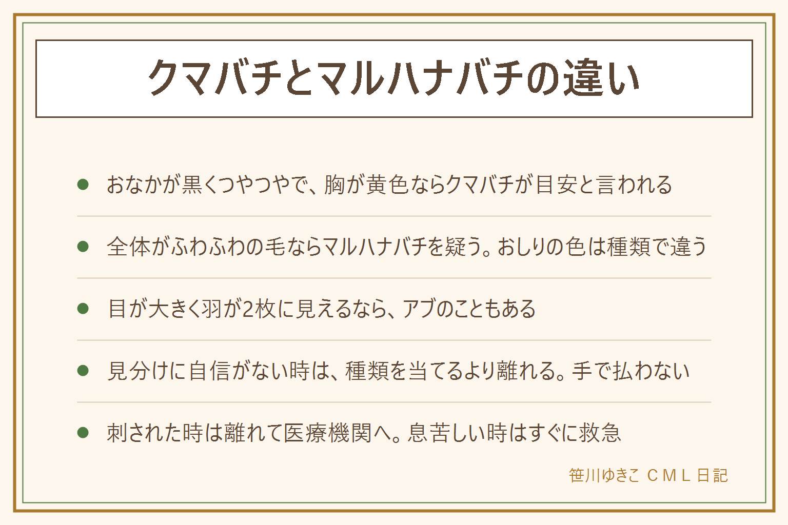 クマバチとマルハナバチの違いの早見表:クマバチは胸が黄色い毛でおなかは黒くつやつや、空中でぴたりと止まることがある。マルハナバチは体全体がふわふわの毛でおおわれ、おしりの色や模様は種類で違う。アブは目が大きく羽が2枚に見え、ハチのようなくびれがはっきりしない。スズメバチは体が細くくびれがあり動きが速いと言われ、見かけたら静かに離れる。どの虫でも近づかない、触らない、手で払わない。見分けに自信がない時は種類を当てるより離れる。刺された時は落ち着いて離れ、医療機関へ相談し、息苦しい時やじんましんが出た時はすぐに救急。写真を撮って拡大し、胸の毛、おなか、目を見る。クマバチの巣のような物は自分で触らず自治体の窓口か業者へ