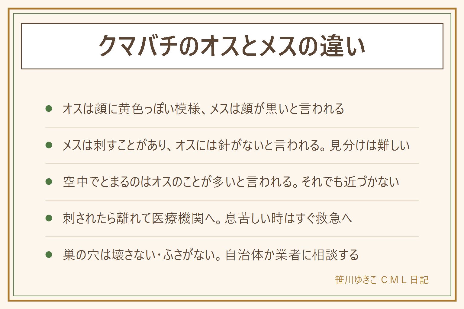 クマバチのオスとメスの違いの早見表:オスは顔の前に黄色っぽい模様があり針がないと言われる。メスは顔が黒く、刺すことがある。飛んでいる姿での見分けは難しいので、どちらも近づかない、触らない、手で払わない、叩かない。空中でとまっているのはオスのことが多いと言われ、なわばりの見回りと説明される。黄色くない黒いクマバチもいる。刺されたら離れて医療機関へ相談、息苦しいなどの時はすぐ救急へ。巣の穴は壊したりふさいだりせず、自治体の窓口か専門の業者へ相談する。