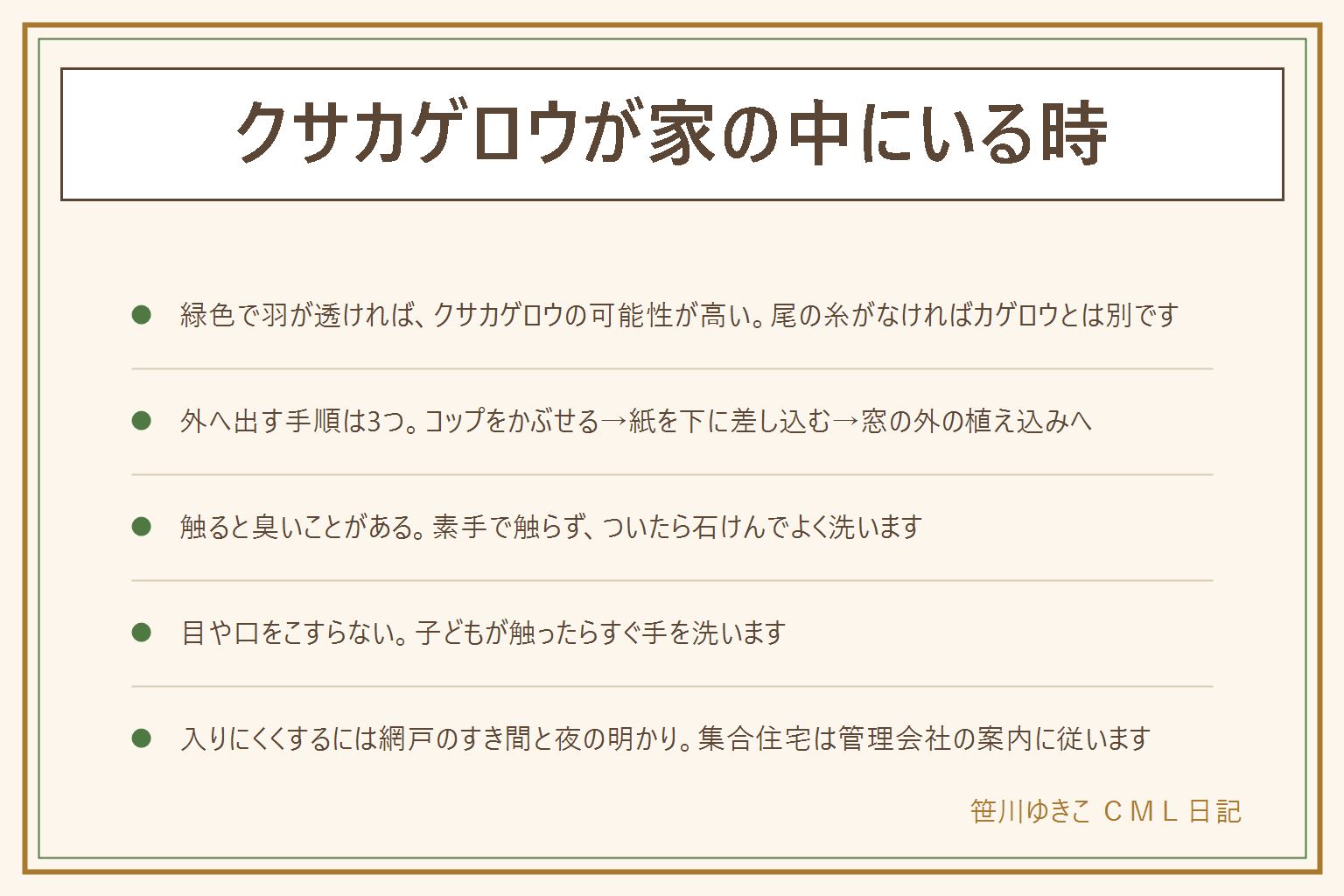クサカゲロウが家の中にいる時の早見表:緑色で羽が透け、尾の糸がなければクサカゲロウの可能性が高い。茶色っぽい個体は種類や季節で色が変わることがある。外へ出す手順はコップをかぶせる、紙を下に差し込む、窓の外の植え込みへの3つ。触ると臭いことがあるので素手で触らず、ついたら石けんで手を洗い目や口をこすらない。カゲロウは尾の糸がある、ウスバカゲロウは触角の先がふくらむ。入りにくくするには網戸のすき間を見直し夜の明かりを減らす。集合住宅は管理会社の案内に従い、体調が気になる時は医療機関に相談する