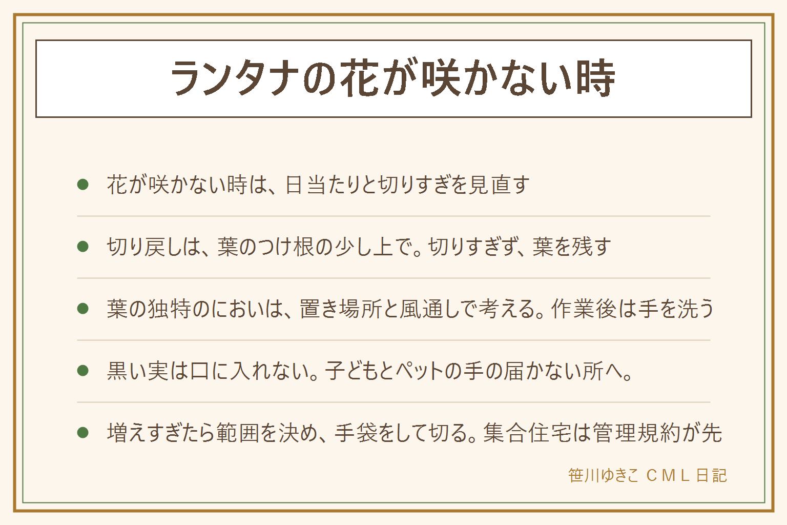 ランタナの花が咲かない時の早見表:花が咲かない時は日当たりと切りすぎを見直す。切り戻しは葉のつけ根の少し上で切り、葉を残す。葉の独特のにおいは置き場所と風通しで考え、作業後は手を洗う。黒い実は口に入れず、子どもとペットの手の届かない所へ置き、実は早めに取って袋に入れて捨てる。口に入れた時は医療機関や中毒の相談窓口へ。増えすぎたら育てる範囲を決め、手袋をして切る。集合住宅の花壇は管理規約と管理会社が先