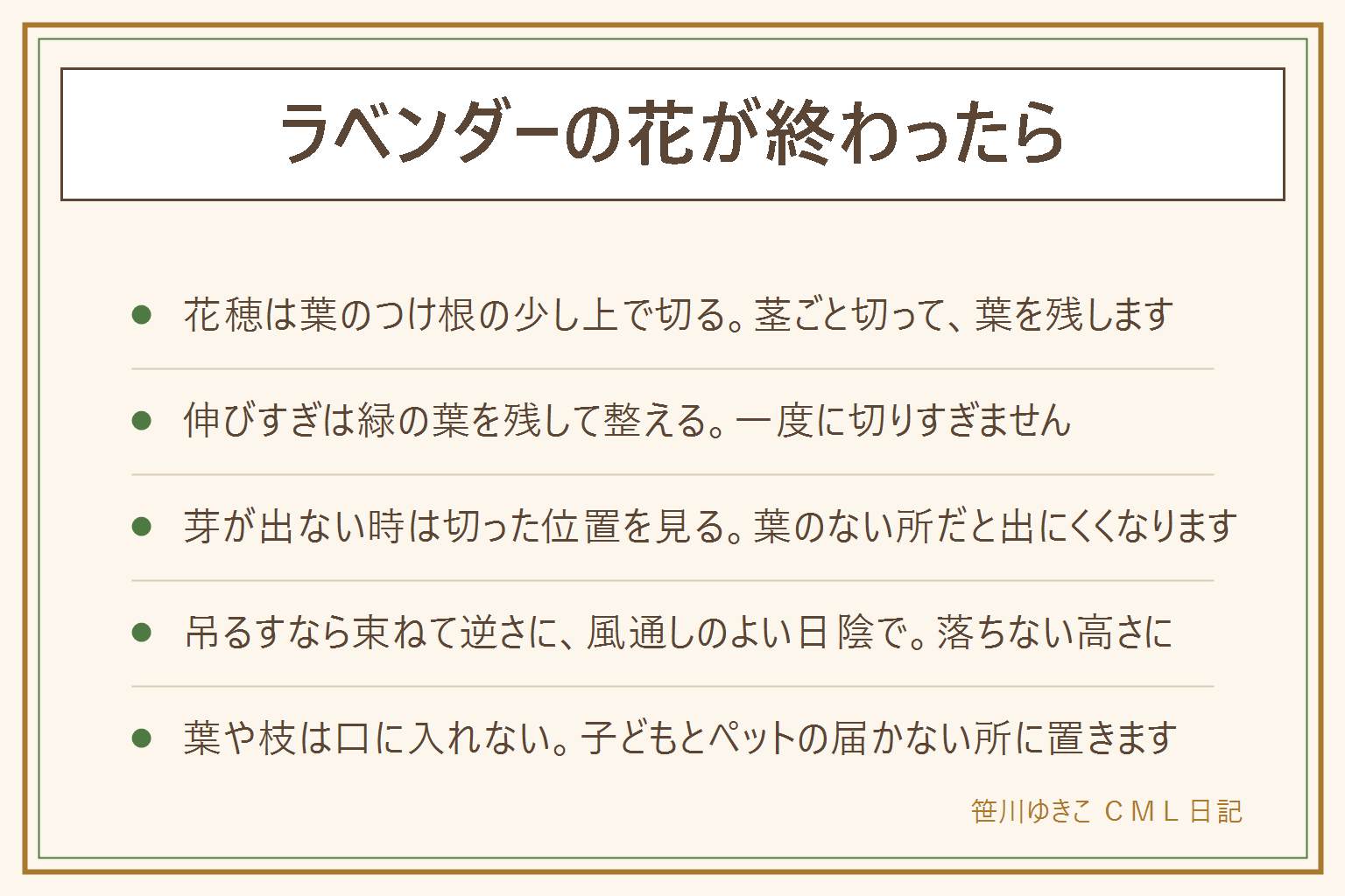 ラベンダーの花が終わったらの早見表:花穂が茶色くなったら花が終わりの合図。花穂は茎ごと、葉のつけ根の少し上で切る。清潔なはさみを使い刃先は自分に向けない。伸びすぎた枝は緑の葉が残る位置で整え、一度に切りすぎない。葉のない木の部分まで深く切ると芽が出にくい。切った花穂は束ねて逆さに、風通しのよい日陰に吊るす。ラベンダーは茎の先に穂のような花、ローズマリーは枝に沿って小さな花と針のような葉、ライラックは春に房で咲く木。葉や枝は子どもとペットが口に入れない所に置く