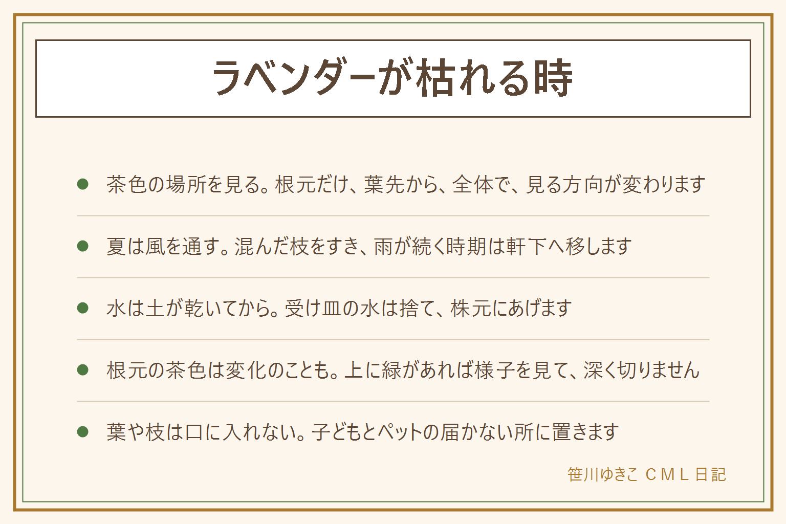 ラベンダーが枯れる時の早見表:茶色の場所で見分ける。根元だけ茶色く固いのは木のようになる育つ途中の変化のこともあり、上が緑なら様子を見る。葉先から茶色いのは乾きすぎか蒸れ。全体がしおれたのは夏の蒸れや根の傷みを疑い、鉢底と水はけを見る。夏は風を通し、混んだ枝をすき、雨が続く時期は軒下へ。水やりは土の表面を指で触り、乾いてから株元に。受け皿の水は捨てる。枯れたかどうかは枝を軽く曲げてしなるか、爪でこすって緑かで確かめる。葉や枝は子どもとペットが口に入れない所に置く